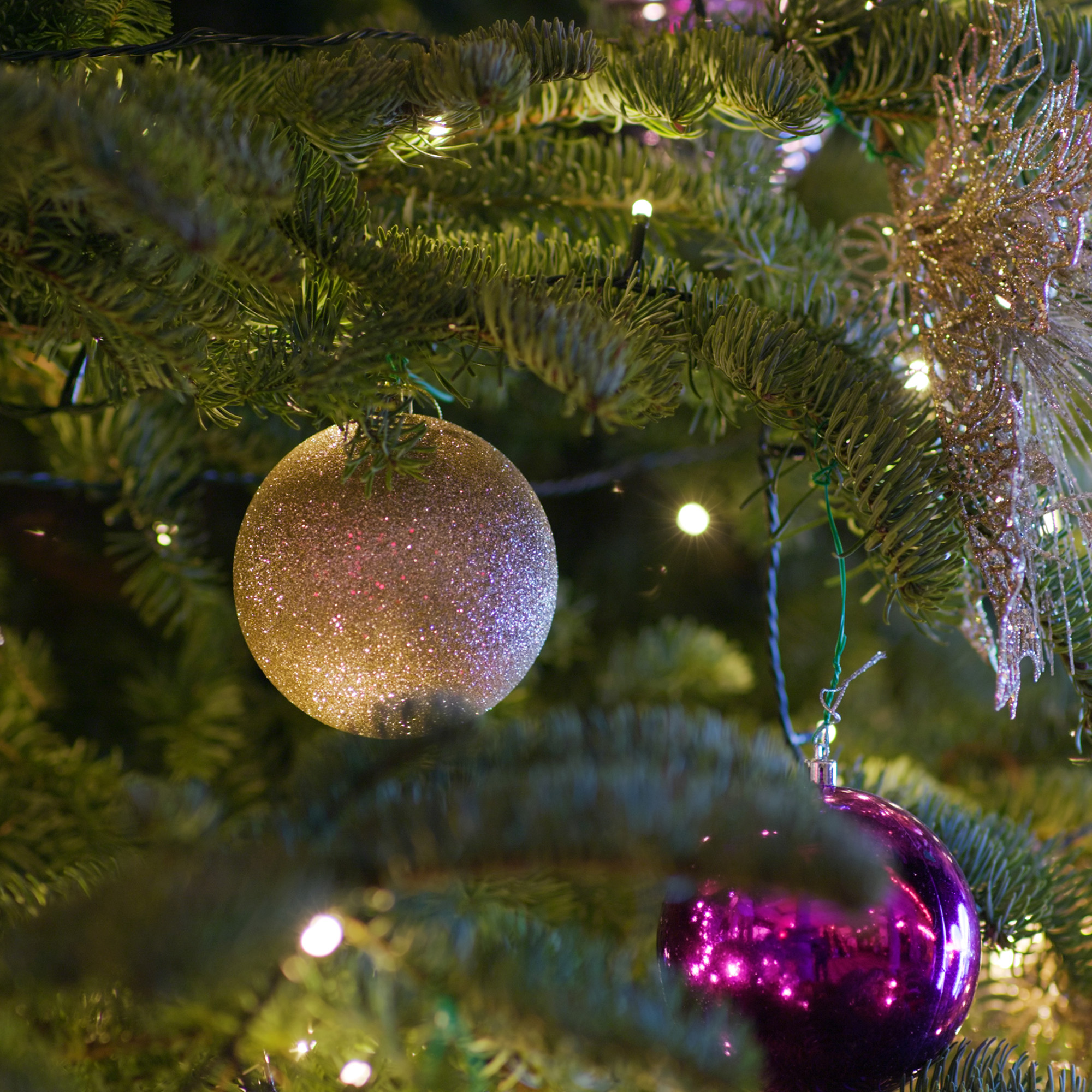 Un árbol de Navidad con adornos dorados y morados. Luces parpadeantes recorren las ramas verdes.