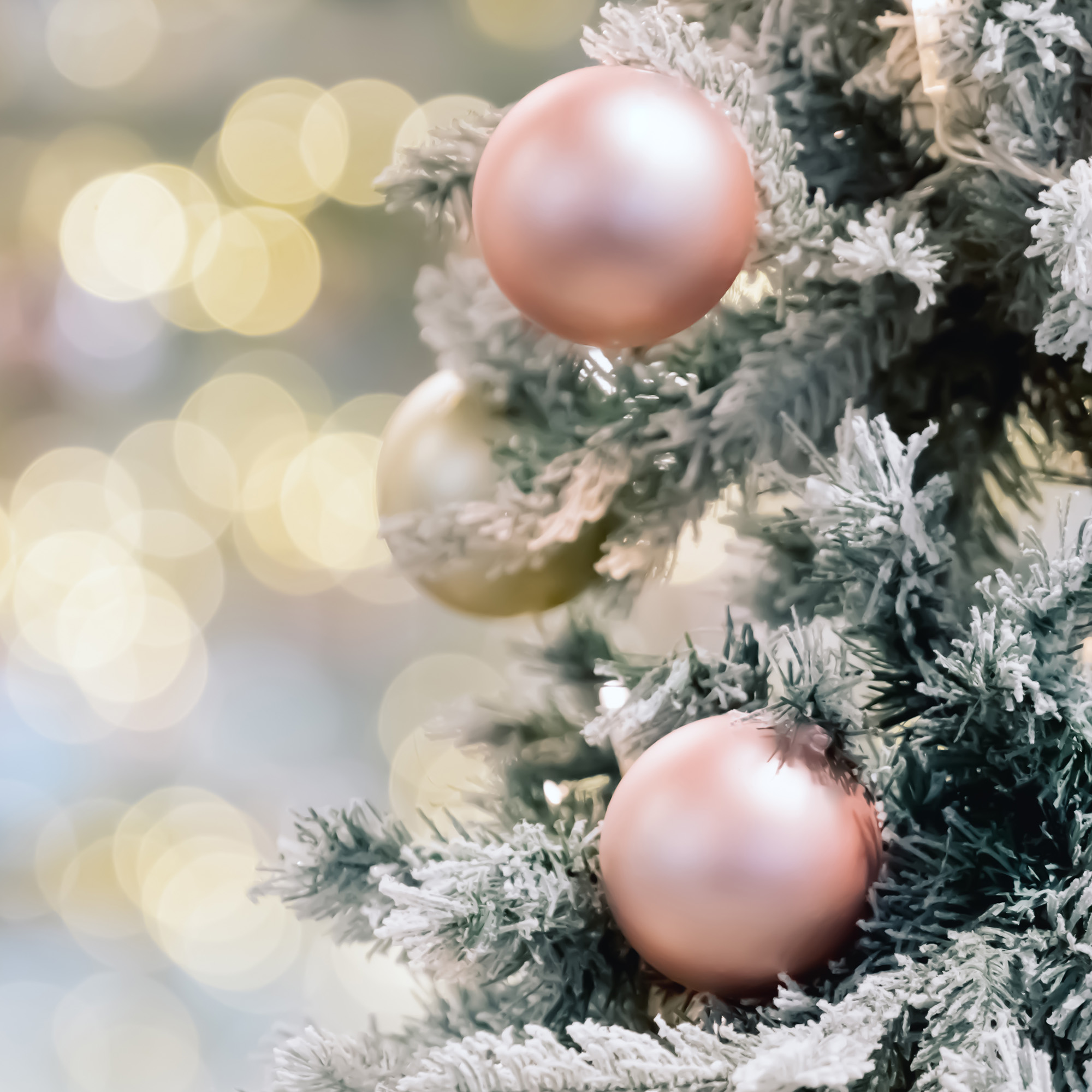 Primer plano de un árbol de Navidad con adornos rosas. El fondo son luces borrosas.