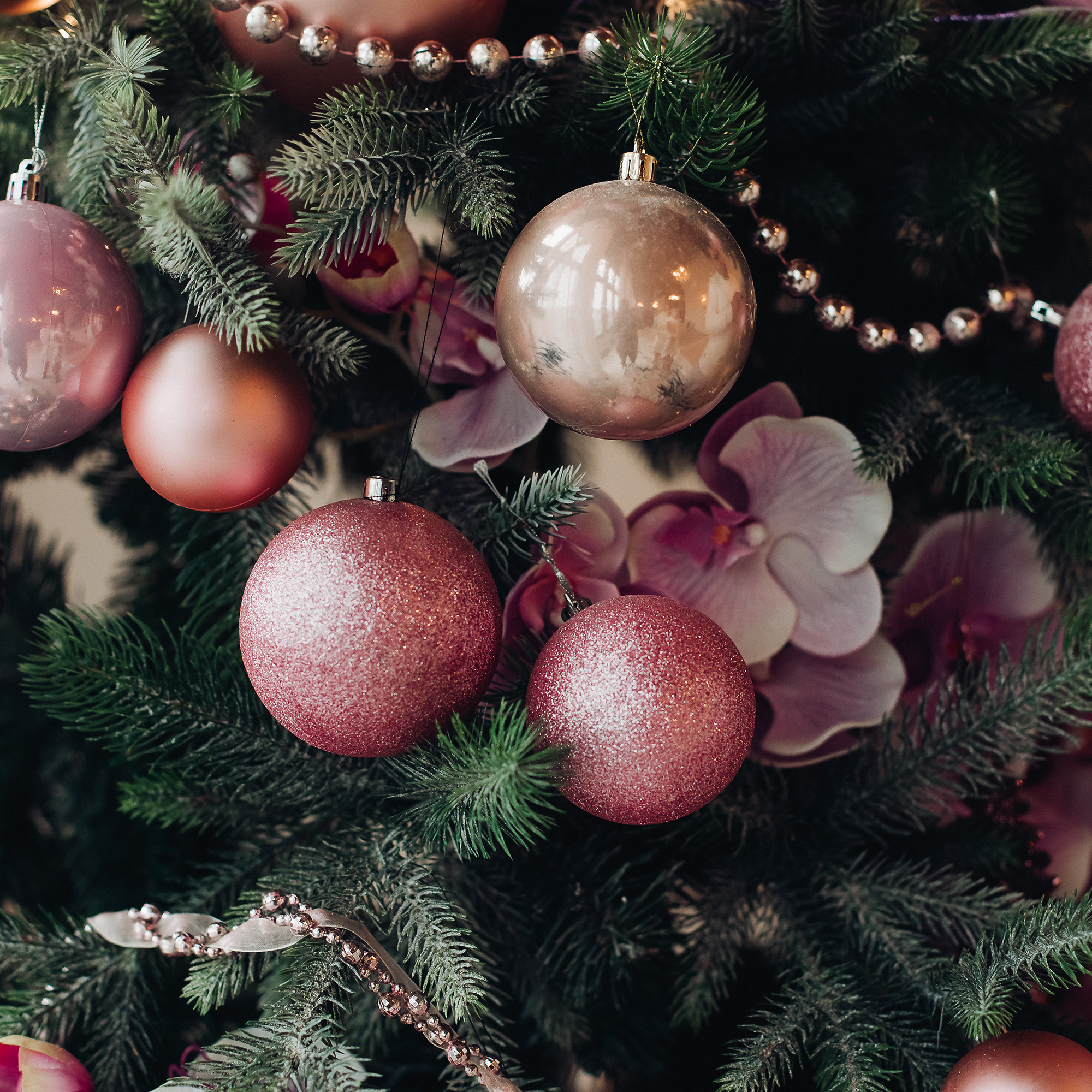 Primer plano de un árbol de Navidad decorado. Adornos rosas y dorados cuelgan entre las agujas verdes del abeto.