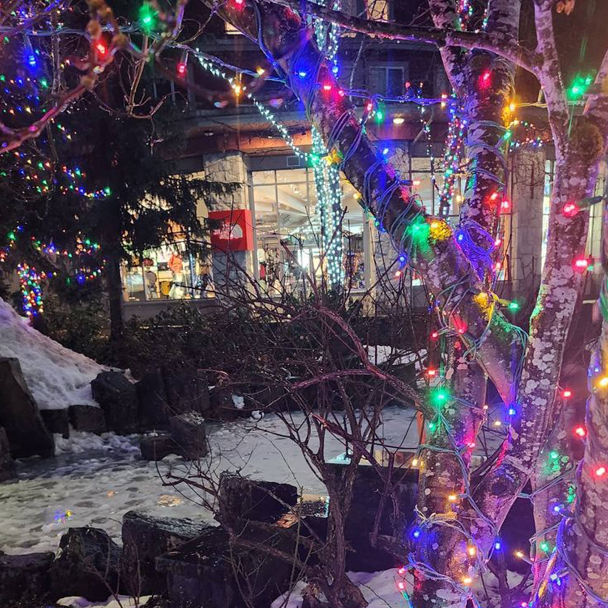 Árboles con luces navideñas de colores. Al fondo, una tienda con ventanas y un paisaje nevado.