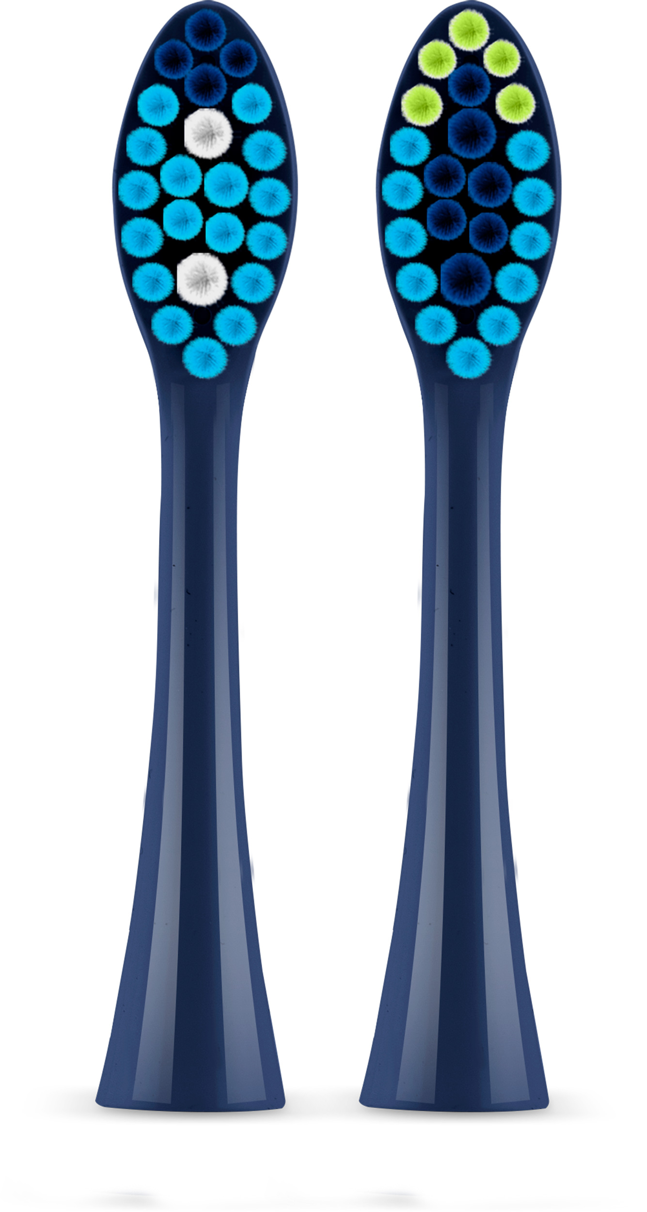 Dwie ciemnoniebieskie głowice szczoteczek do zębów z okrągłym włosiem. Jedna ma białe i niebieskie włosie, druga zielone i niebieskie.