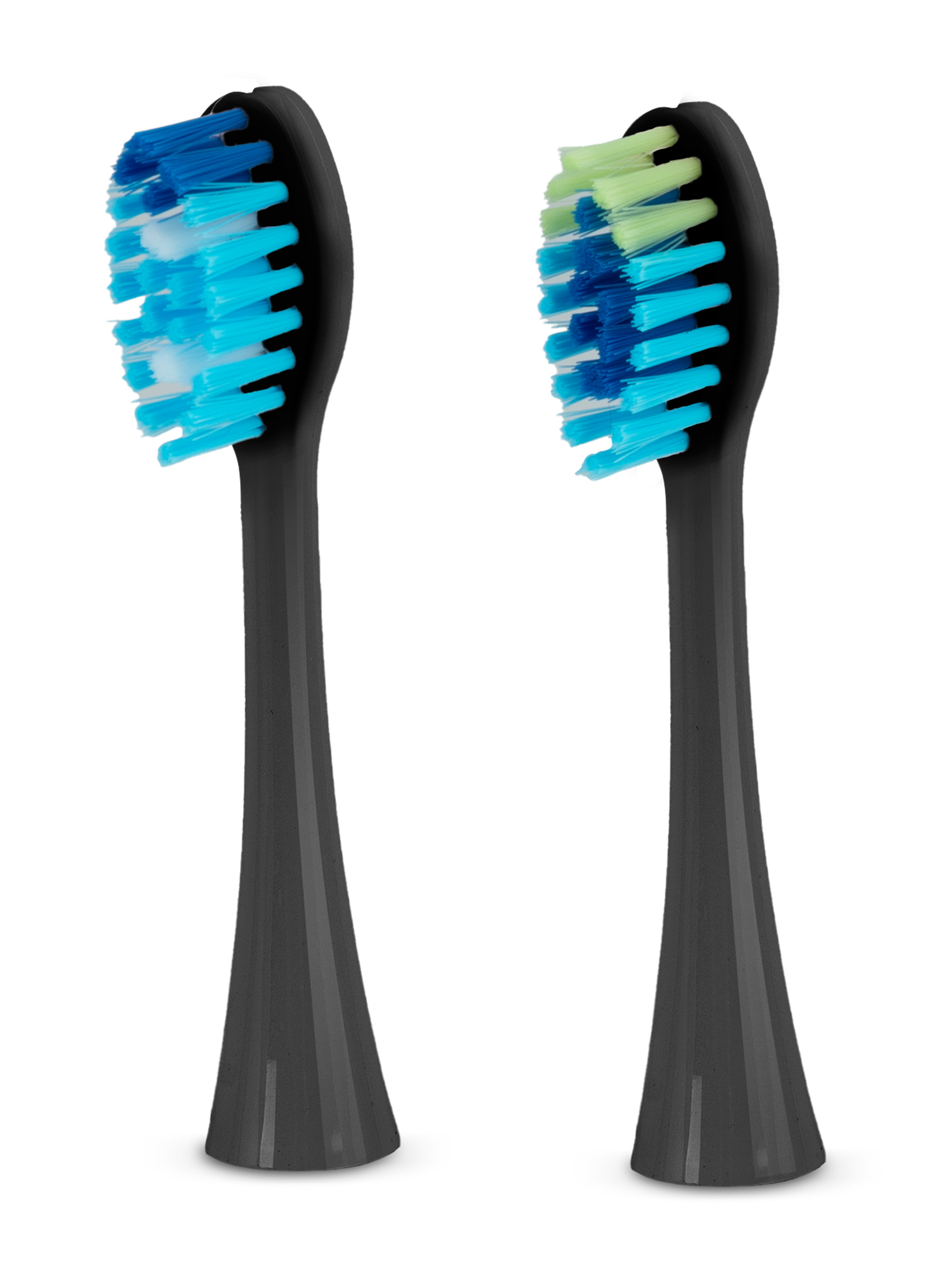 Dwie czarne głowice szczoteczki do zębów z niebieskim i zielonym włosiem. Izolowane na białym tle. Włosie skierowane do góry.