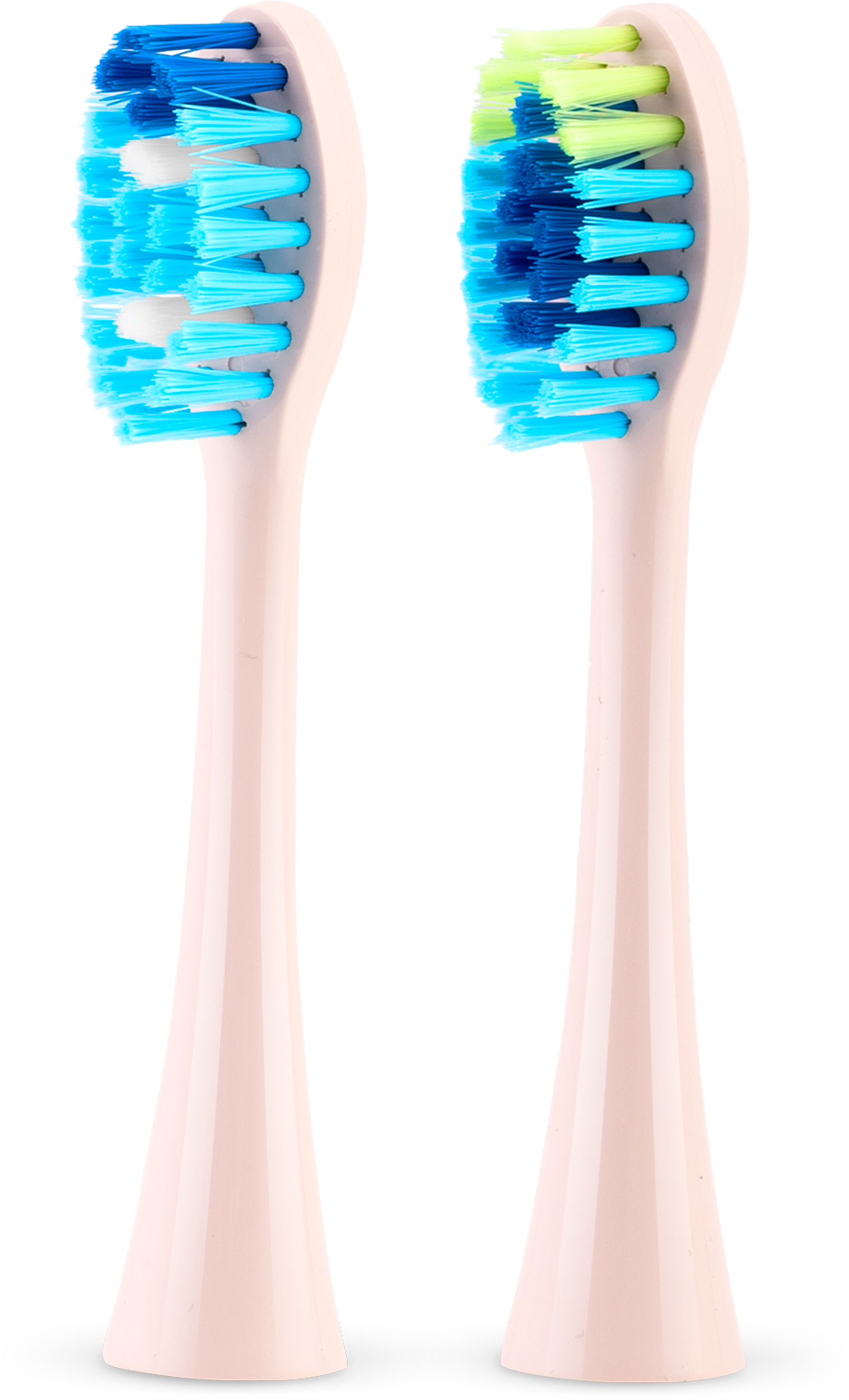 Dwie głowice szczoteczki do zębów. Jedna z niebieskim i białym włosiem, druga z niebieskim i zielonym włosiem. Obie na różowych uchwytach.