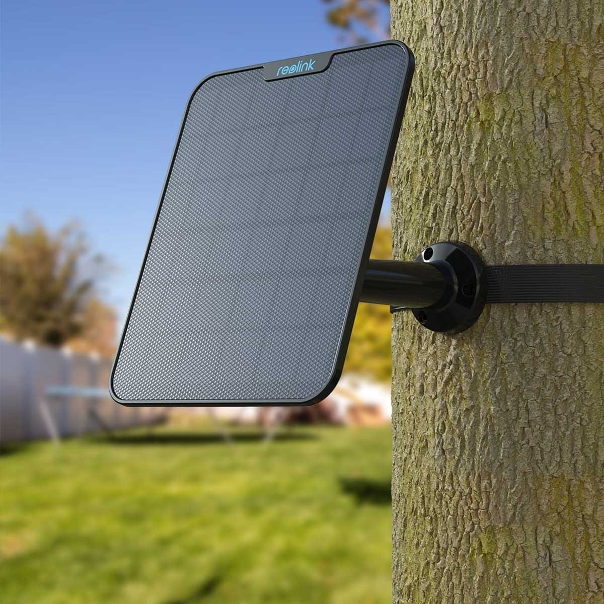 Un panel solar Reolink negro está montado en un árbol. El panel está inclinado hacia el cielo. Una correa negra lo asegura. Hierba verde en el fondo.