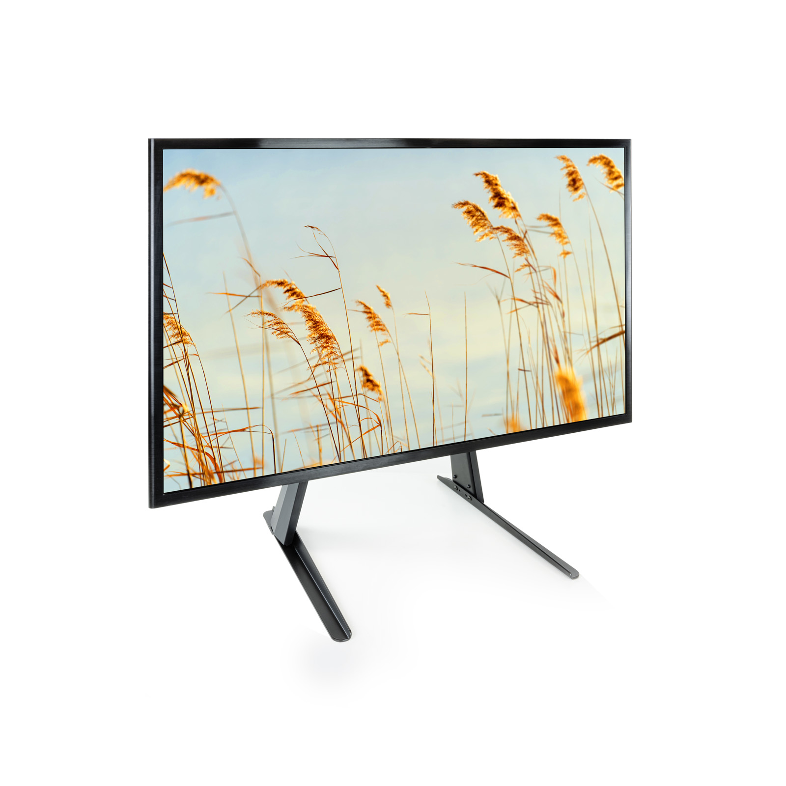 Ein Fernseher mit einem Landschaftsbild von hohem Gras. Der Fernseher steht auf einem Ständer vor weißem Hintergrund.