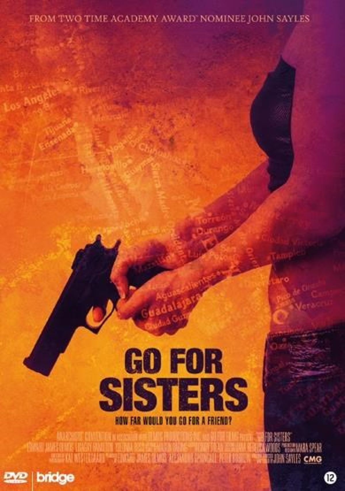 Affiche de film : une femme tenant une arme. Le titre est 'Go For Sisters'. Le fond montre une carte du Mexique.
