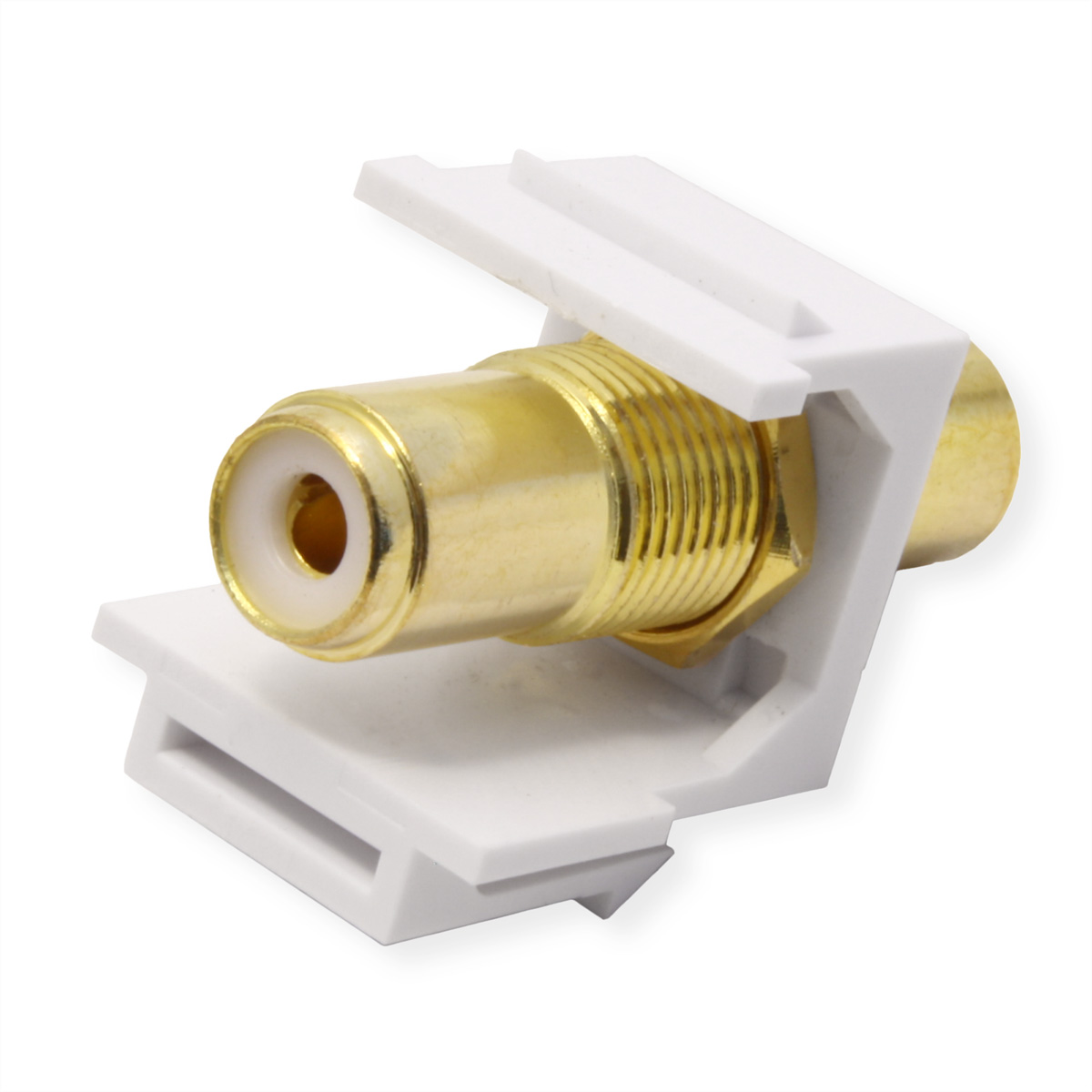 Nahaufnahme eines goldfarbenen RCA-Anschlusses in einer weißen Kunststoffhalterung. Der Stecker ist zentriert und zum Betrachter geneigt.