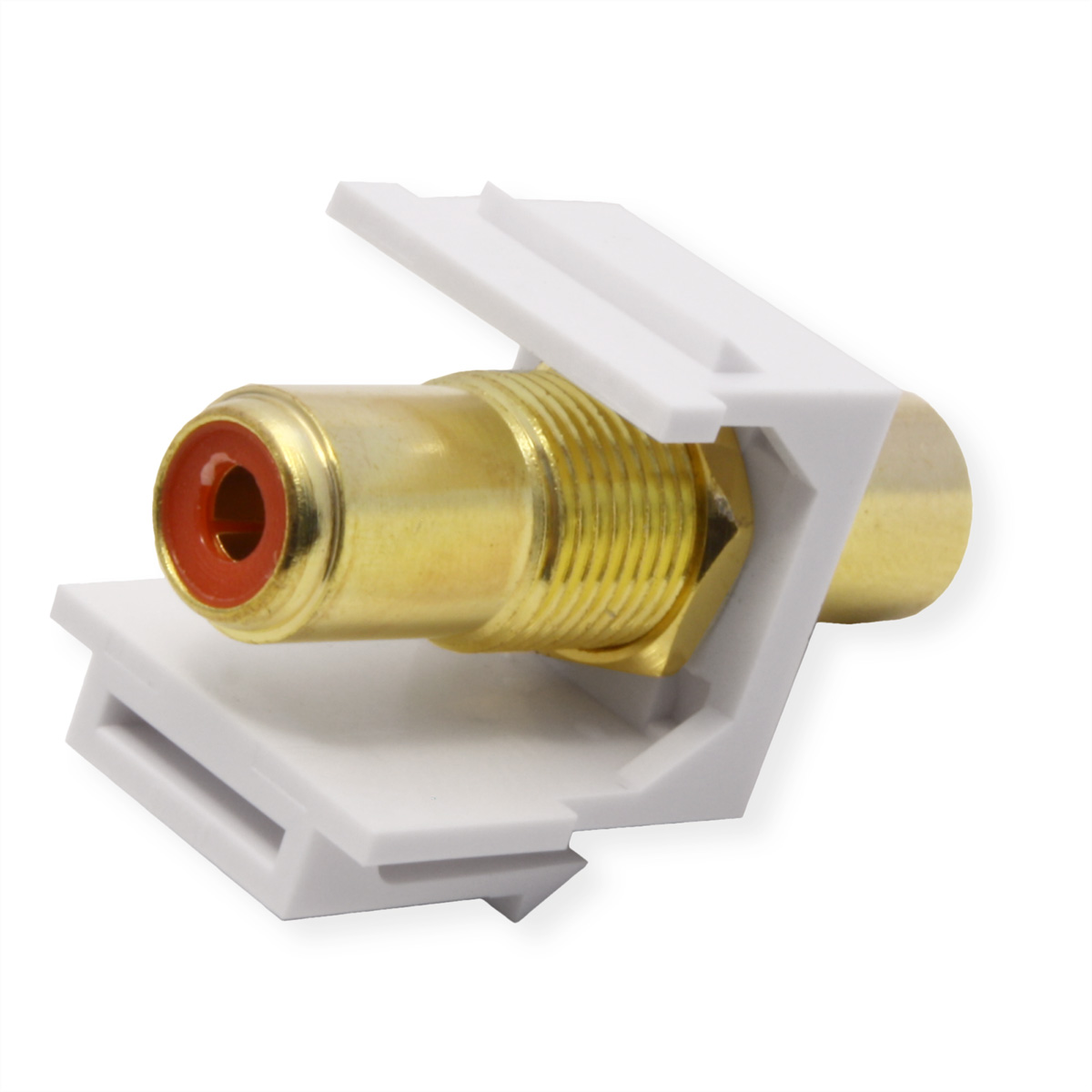 Ein goldfarbener Cinch-Stecker mit rotem Innenkreis ist in einem weißen Kunststoffrahmen eingeschlossen. Der Hintergrund ist weiß.