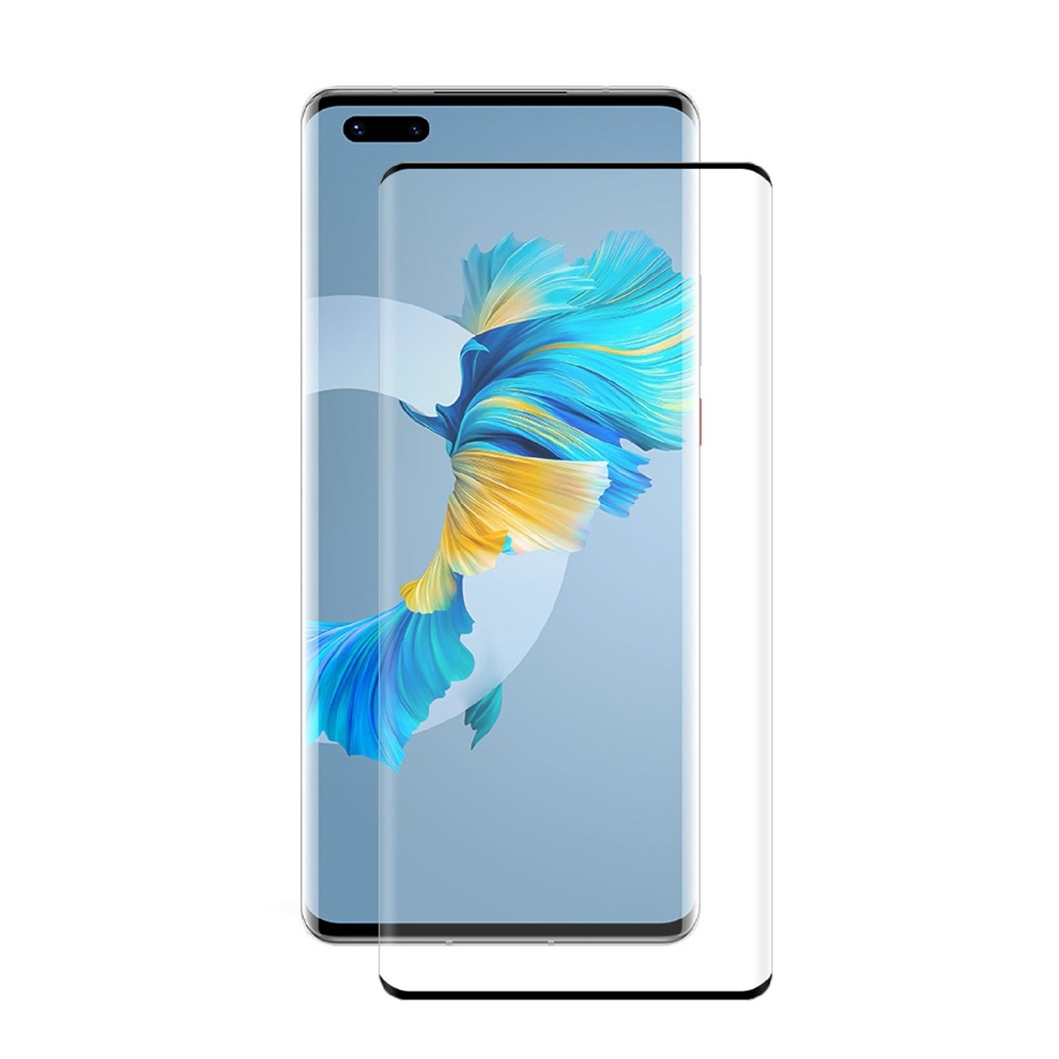 Ein Smartphone mit angebrachtem Displayschutz. Das Telefon zeigt ein buntes, abstraktes Design. Der Schutz ist klar und leicht gebogen.