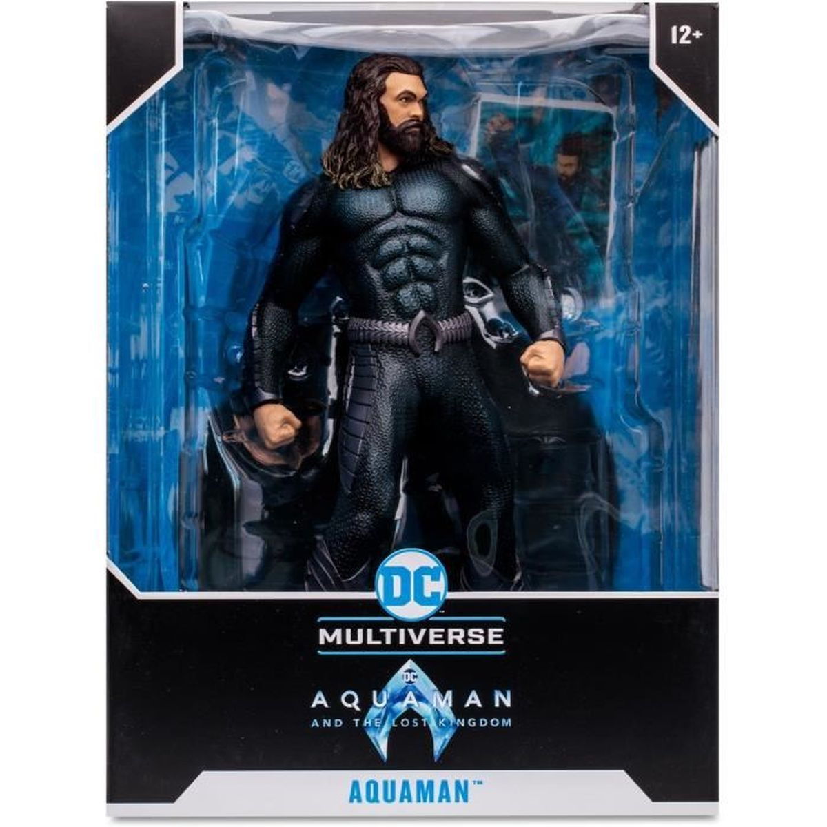 Aquaman-Actionfigur in einer Box. Die Figur ist dunkel, mit langen Haaren und Bart. Die Box hat das DC Multiverse-Logo.