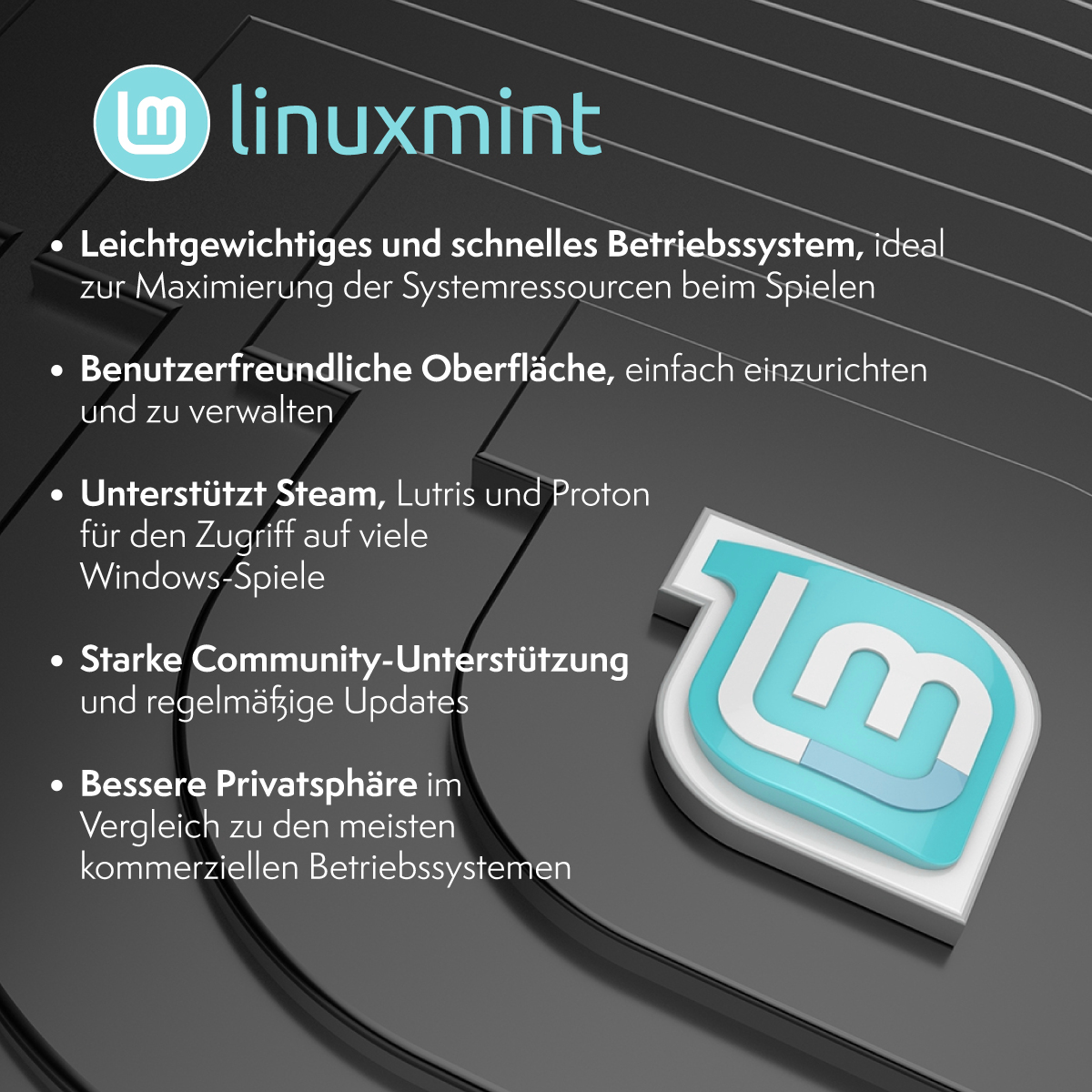 Linux Mint Logo auf grauem Untergrund. Text beschreibt Funktionen: leicht, benutzerfreundlich, unterstützt Steam, starke Community, Datenschutz.