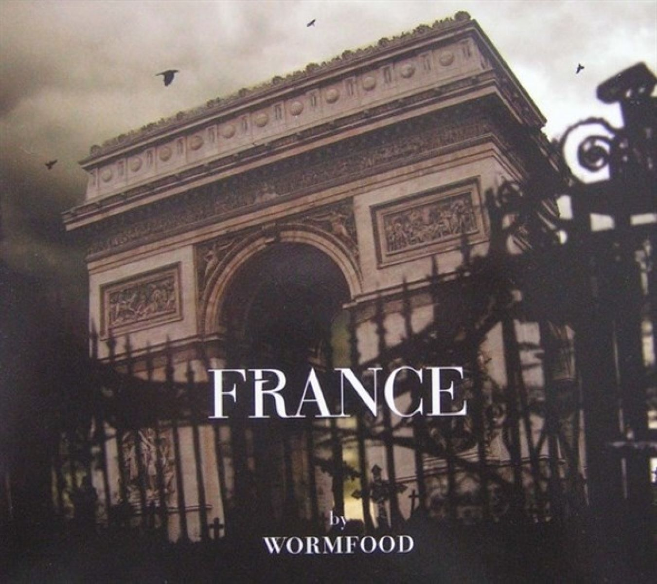 Arc de Triomphe, Frankrijk, met donkere lucht en vogels. Zwarte hek ervoor. Tekst: France by Wormfood.