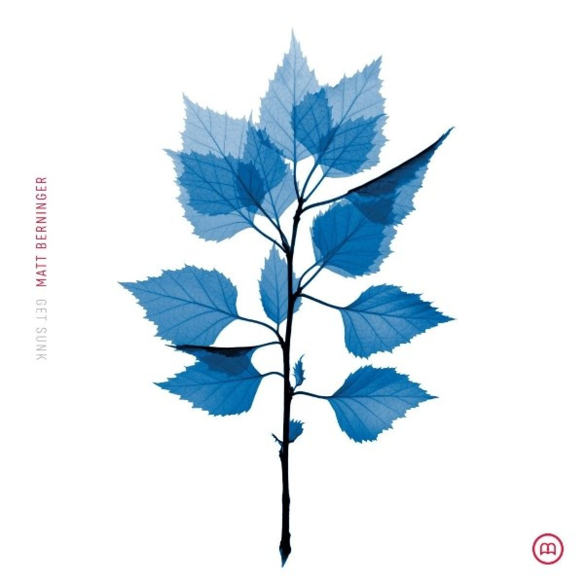 Una pianta con foglie blu su sfondo bianco. Il testo recita "GET SUNK" e "MATT BERNINGER". La pianta è il punto focale.