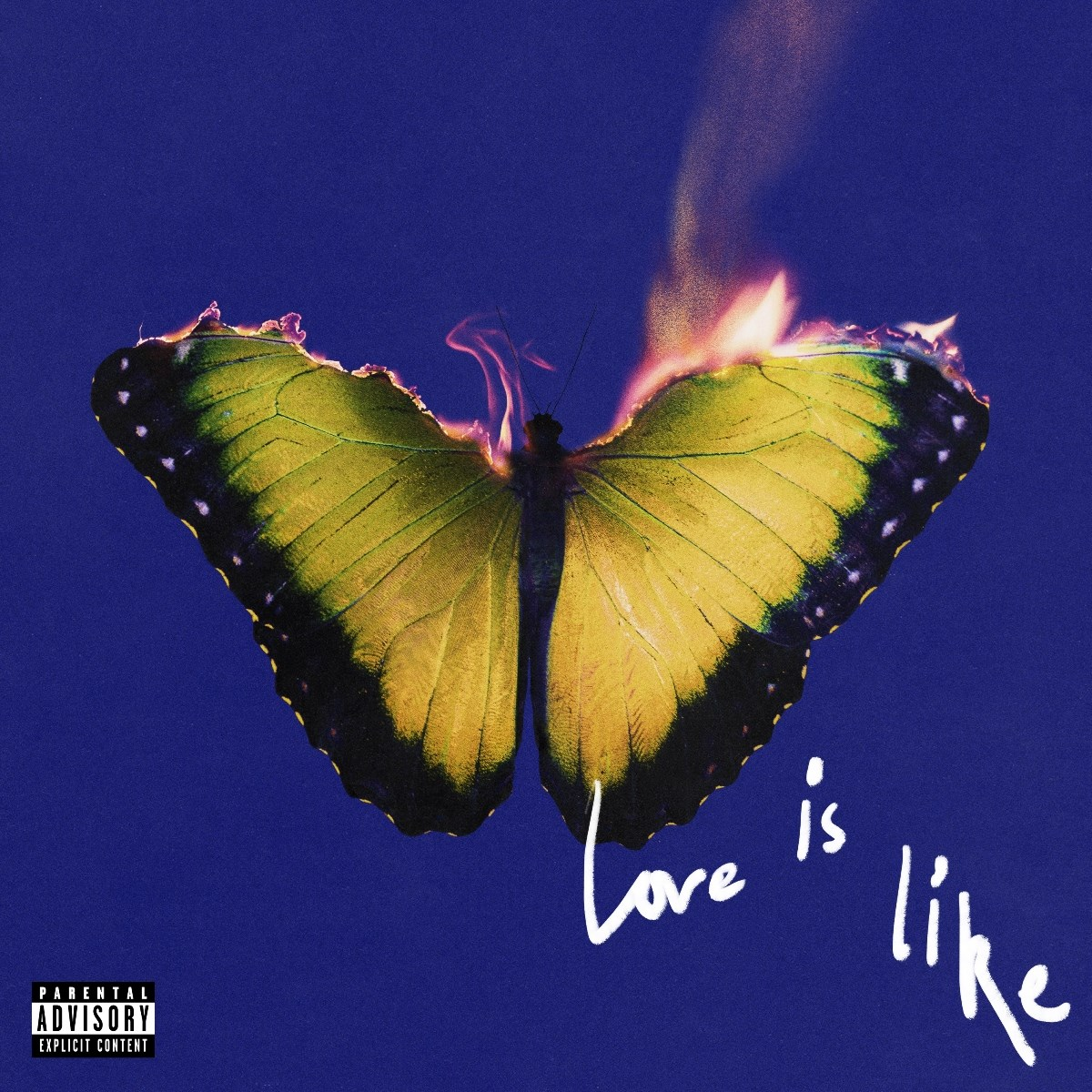Una farfalla con ali gialle è in fiamme su uno sfondo blu. Le parole 'Love is like' sono scritte in bianco.