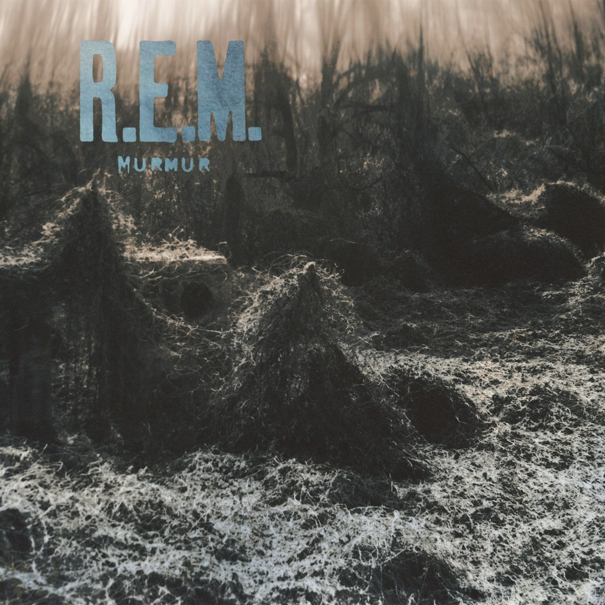 Copertina dell'album con testo R.E.M. e Murmur. Il primo piano mostra un paesaggio scuro testurizzato. Lo sfondo presenta un fogliame scuro e nebbioso.