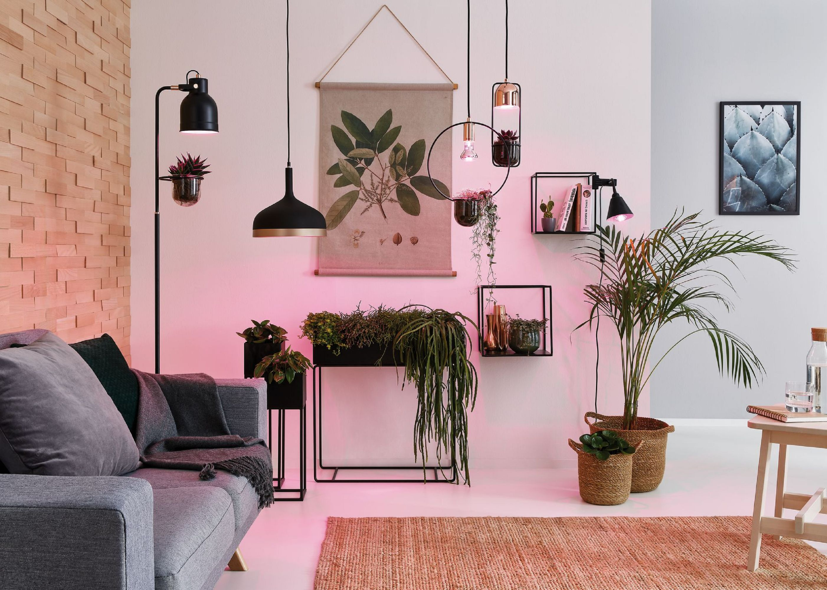 Salon z roślinami, lampami, szarą sofą i dywanem. Ściany są białe. Różowe oświetlenie.