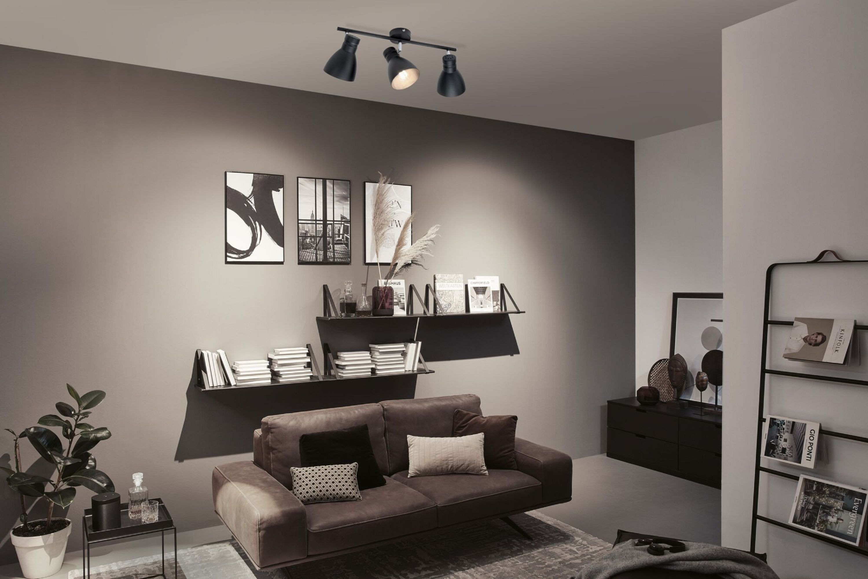 Scena di soggiorno con divano, arte, mensole con libri e un'illuminazione a binario nera. Una pianta è nell'angolo.