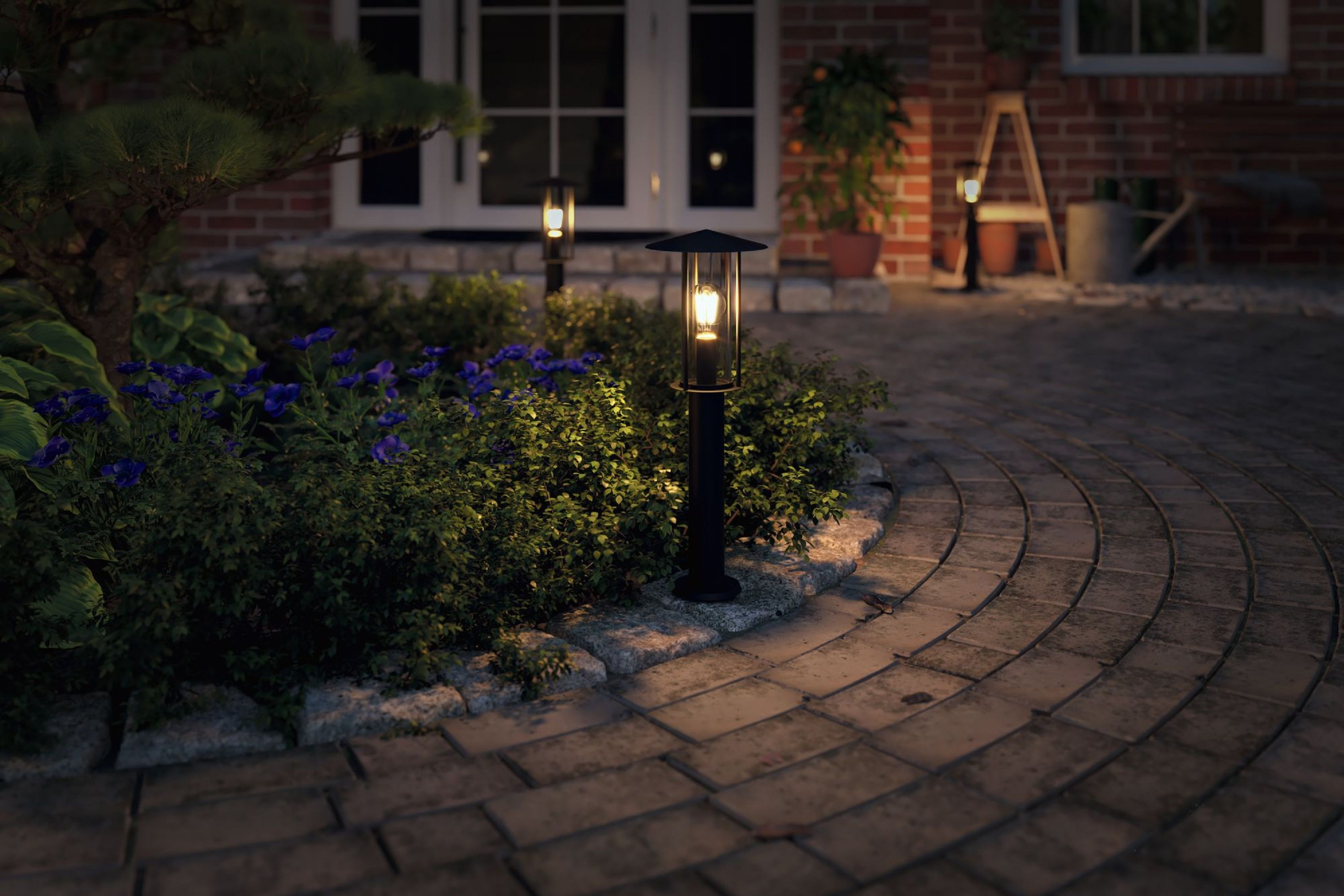 Oświetlona ścieżka prowadząca do wejścia do domu. Krzew z niebieskimi kwiatami i dwie zapalone lampy.