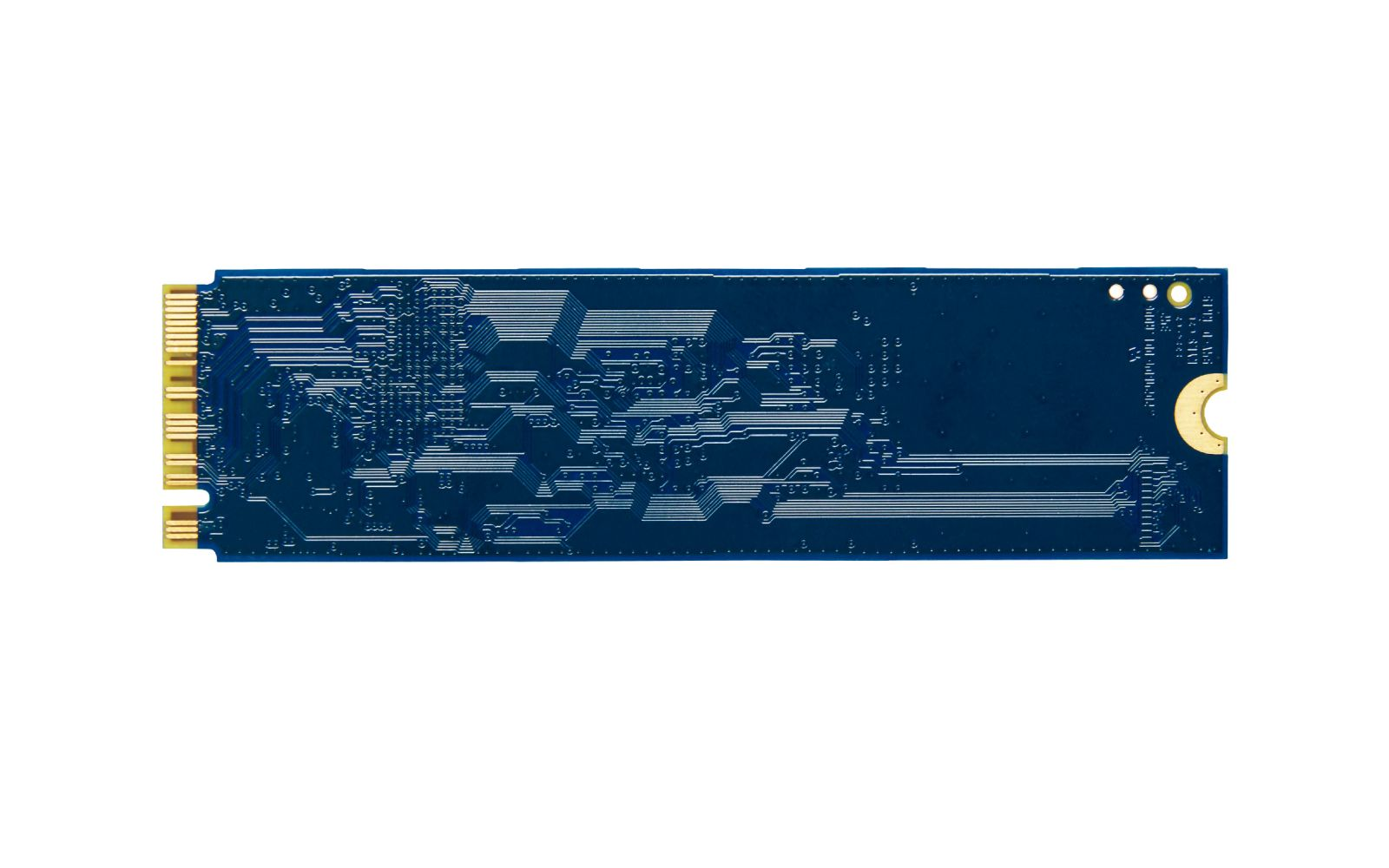 Niebieska płytka drukowana ze złotymi złączami, skomplikowanymi wzorami i półokrągłym wycięciem.