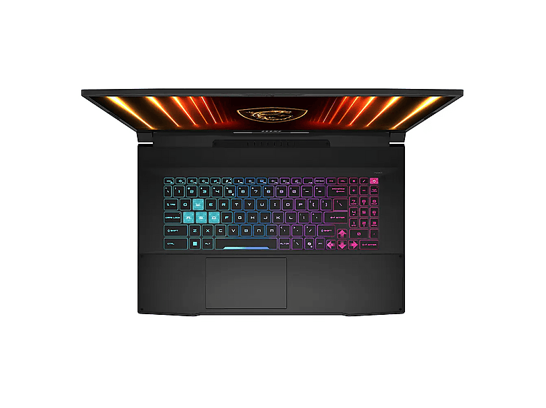 MSI Katana 17 HX B14WGK-046XTR Intel Core i7-14650HX 32 GB RAM 1
