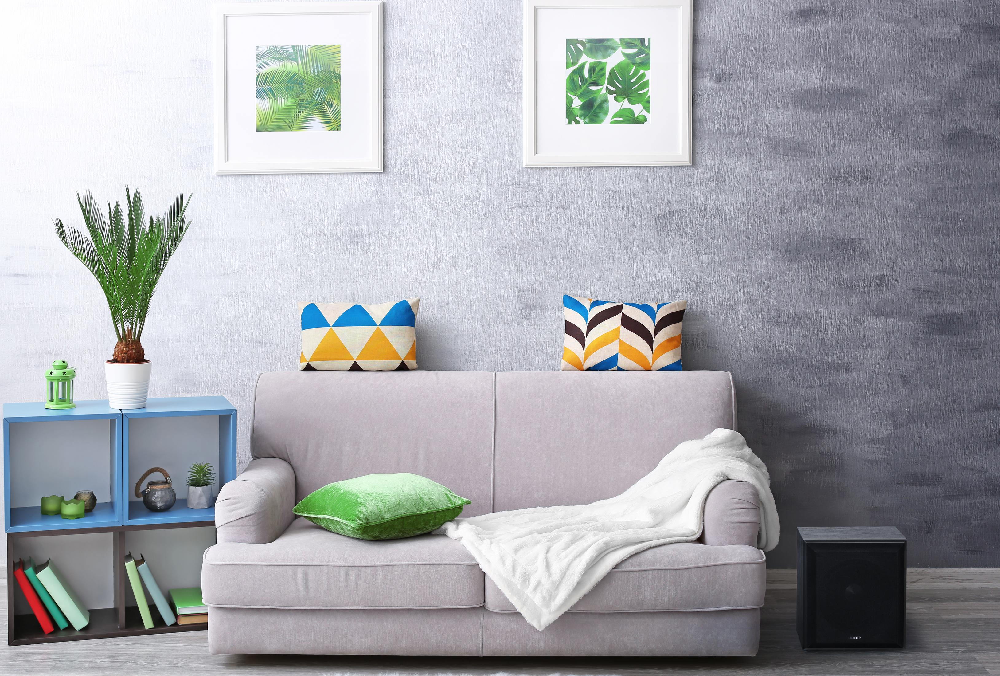 Salon z sofą, poduszkami, rośliną, obrazami i głośnikiem. Ściana jest szara.