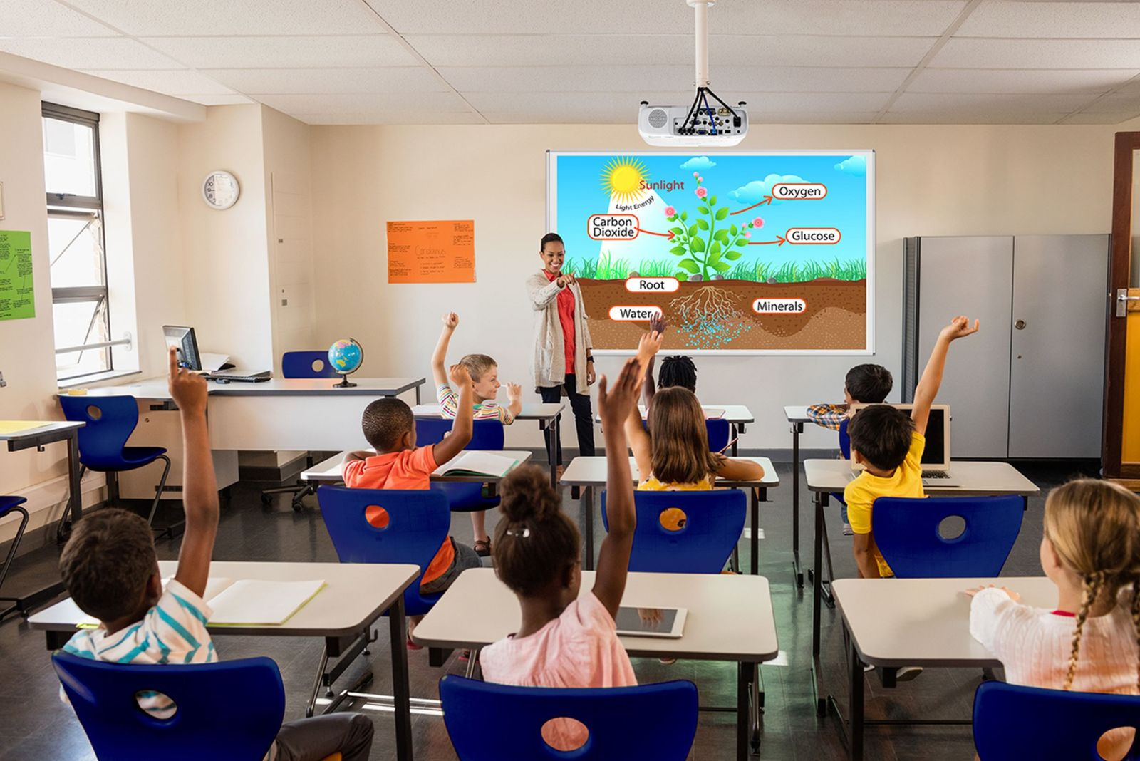 Nauczyciel wskazuje na schemat rośliny na tablicy. Uczniowie podnoszą ręce w klasie. Oznaczone są światło słoneczne, korzenie i minerały.