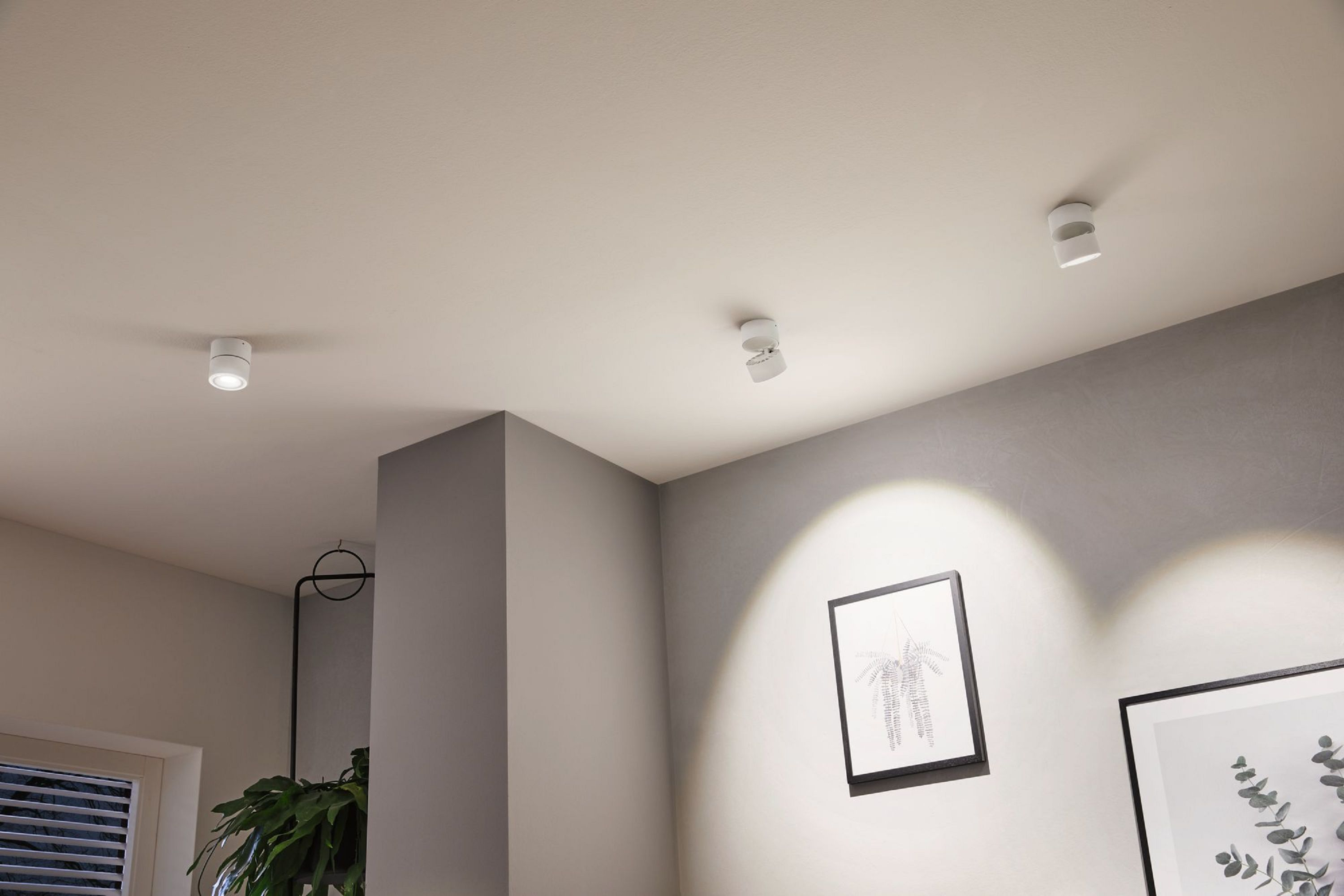 Une pièce avec des plafonniers. Une peinture est au mur. Une plante est suspendue dans le coin.