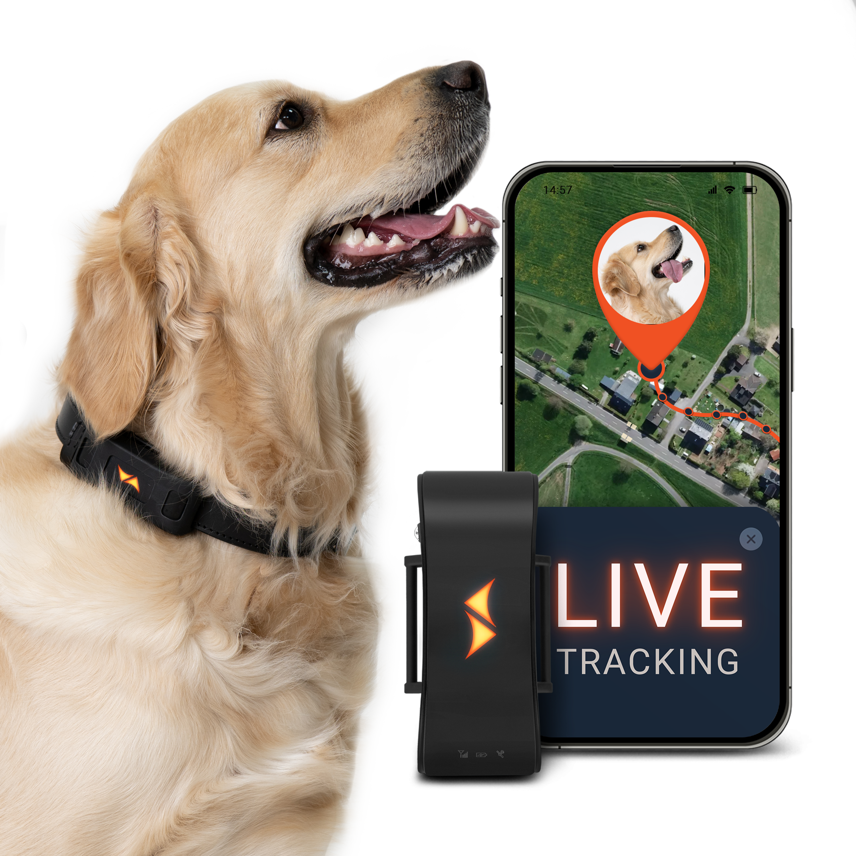 Paj Gps Petfinder Gps Tracker Buy PAJ GPS PET Finder 4G GSM