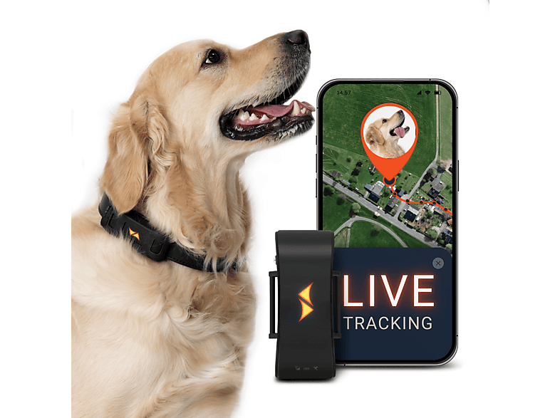 PAJ GPS PET Finder 4G Tracker GPS TRACKER | MediaMarkt