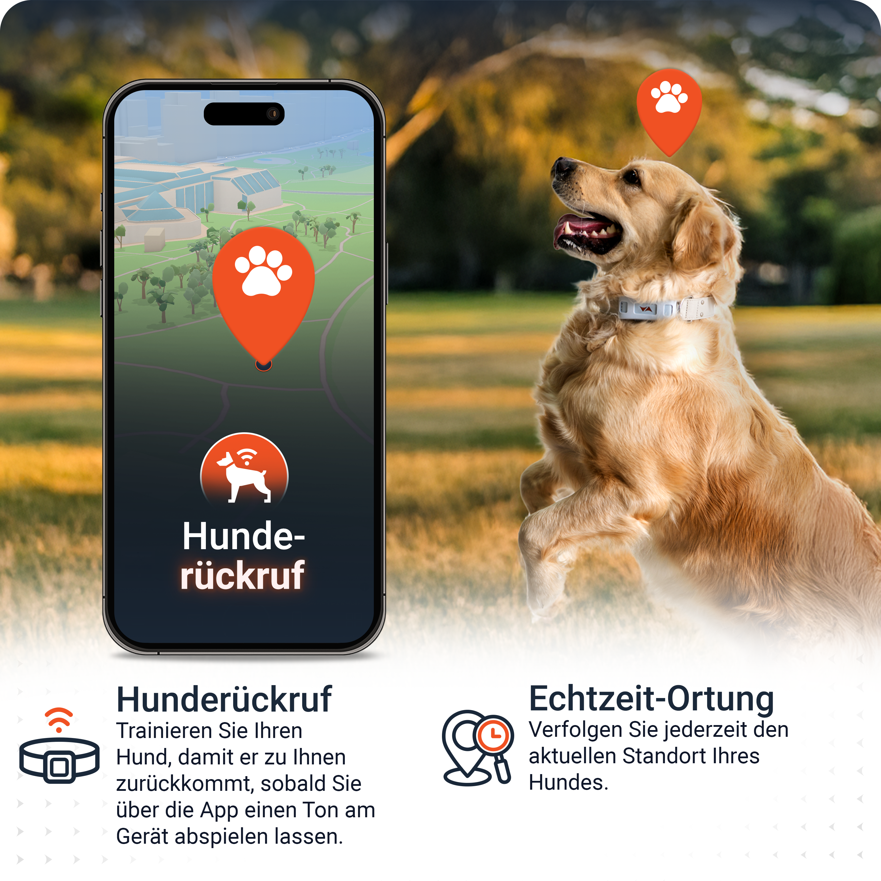 Ein Golden Retriever springt in der Nähe eines Telefons, das eine Karte mit einem Hunde-Symbol anzeigt. Das Telefon zeigt die App.