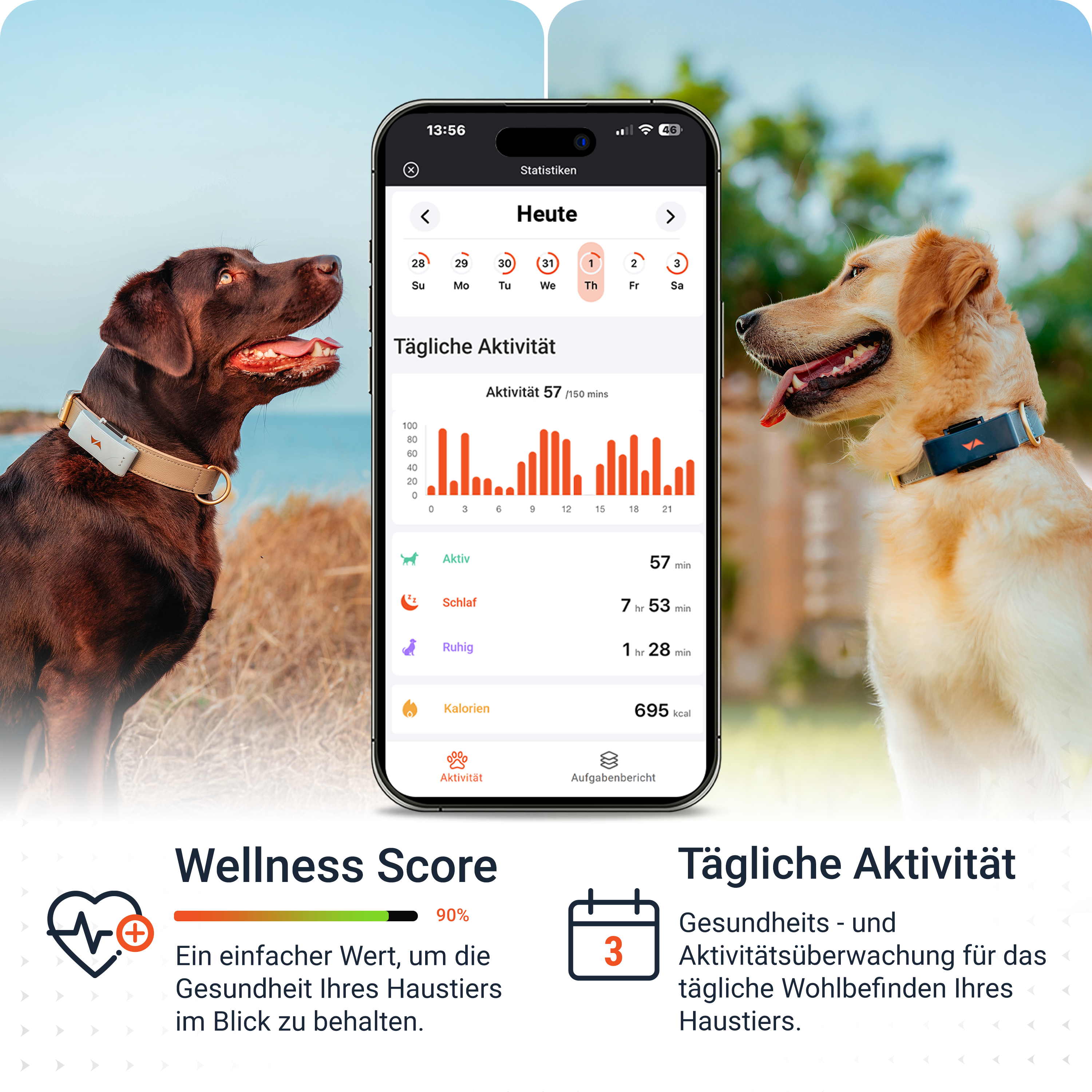 Das Bild zeigt zwei Hunde, ein Telefon mit Aktivitätsstatistiken und Wellness- und Aktivitätsinformationen.