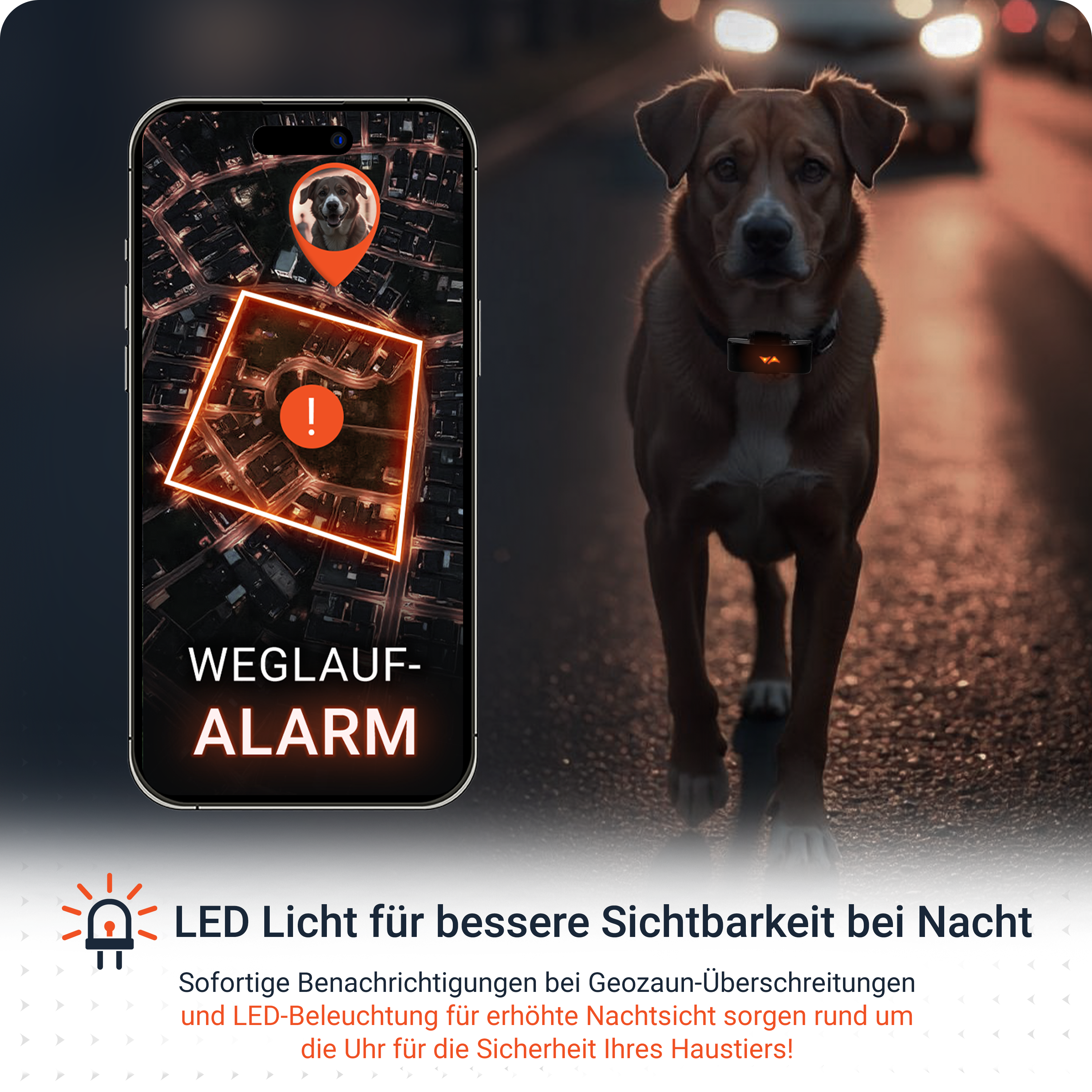 Ein Hund auf einer Straße, ein Telefon mit einer Karte des Hundes und Text über LED-Licht für bessere Sichtbarkeit.
