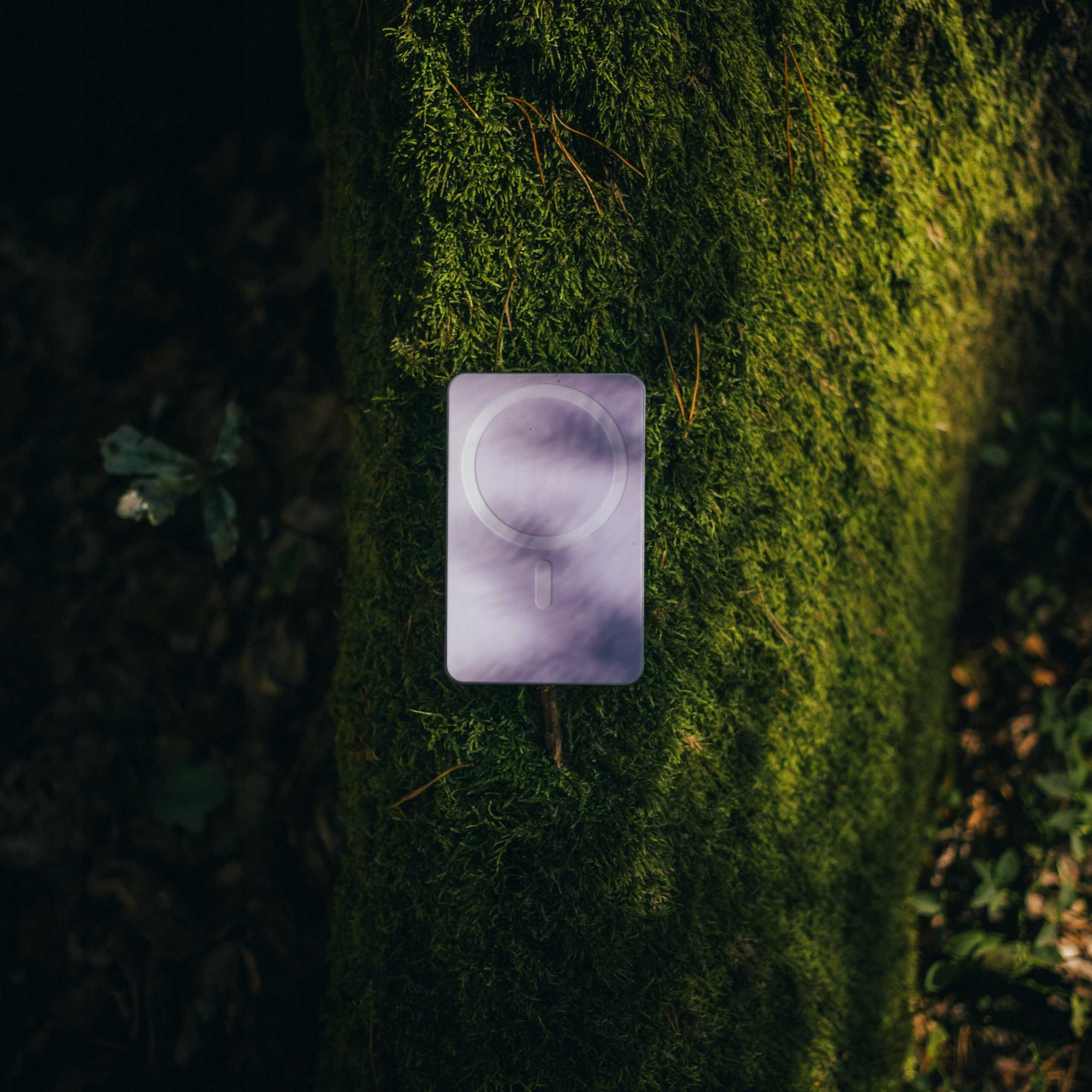 Biała ładowarka bezprzewodowa na pniu pokrytym mchem w lesie. Ładowarka jest wyśrodkowana.