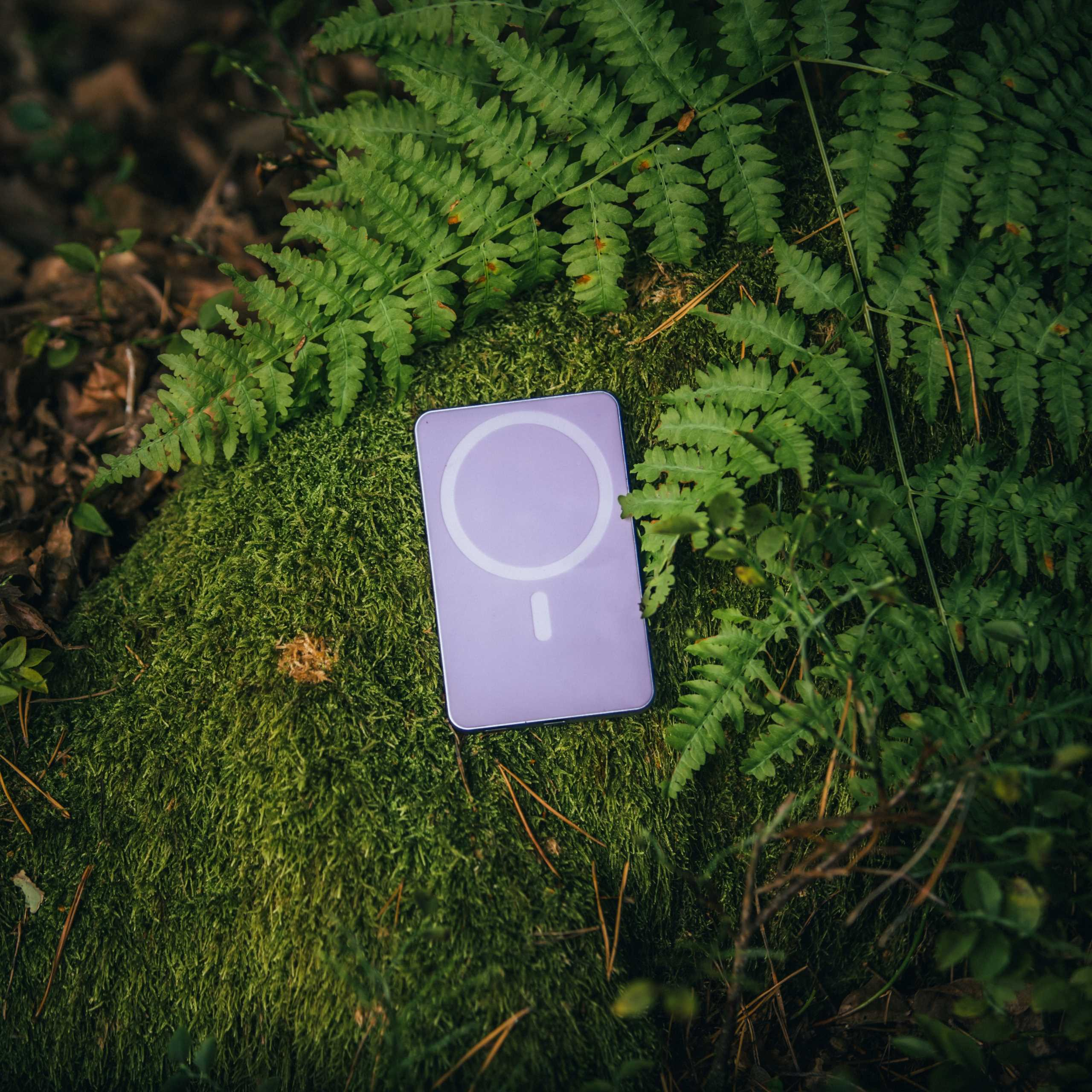 Lawendowa ładowarka bezprzewodowa spoczywa na zielonym mchu i paprociach. Tło to rozmyta leśna gleba.