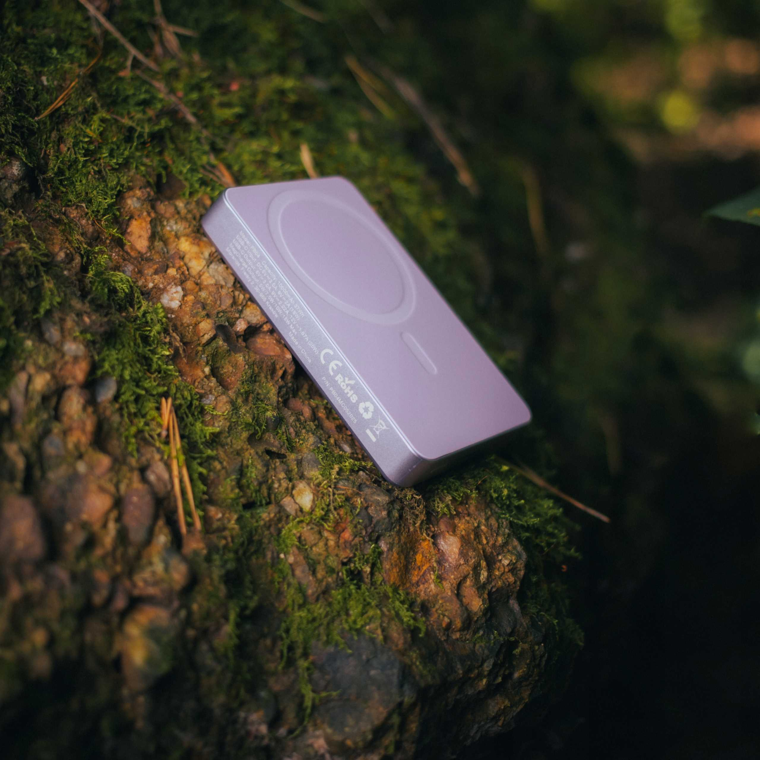 Srebrna ładowarka MagSafe spoczywa na drewnie pokrytym mchem. Tło to rozmyte zielone liście.