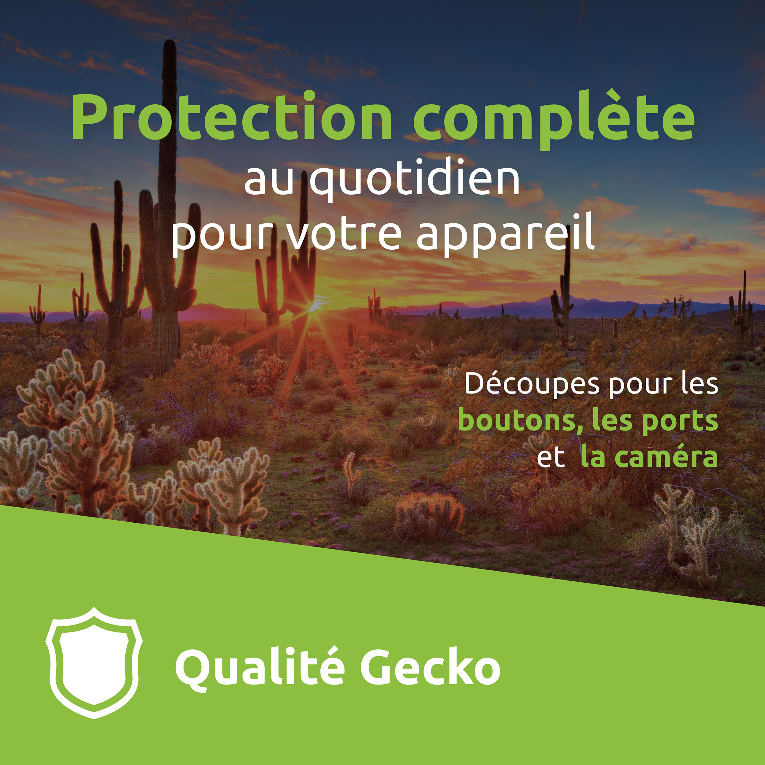 Wüstenlandschaft mit Kakteen und Sonnenuntergangshimmel. Text in Grün lautet 'Protection complète', 'Qualité Gecko'.