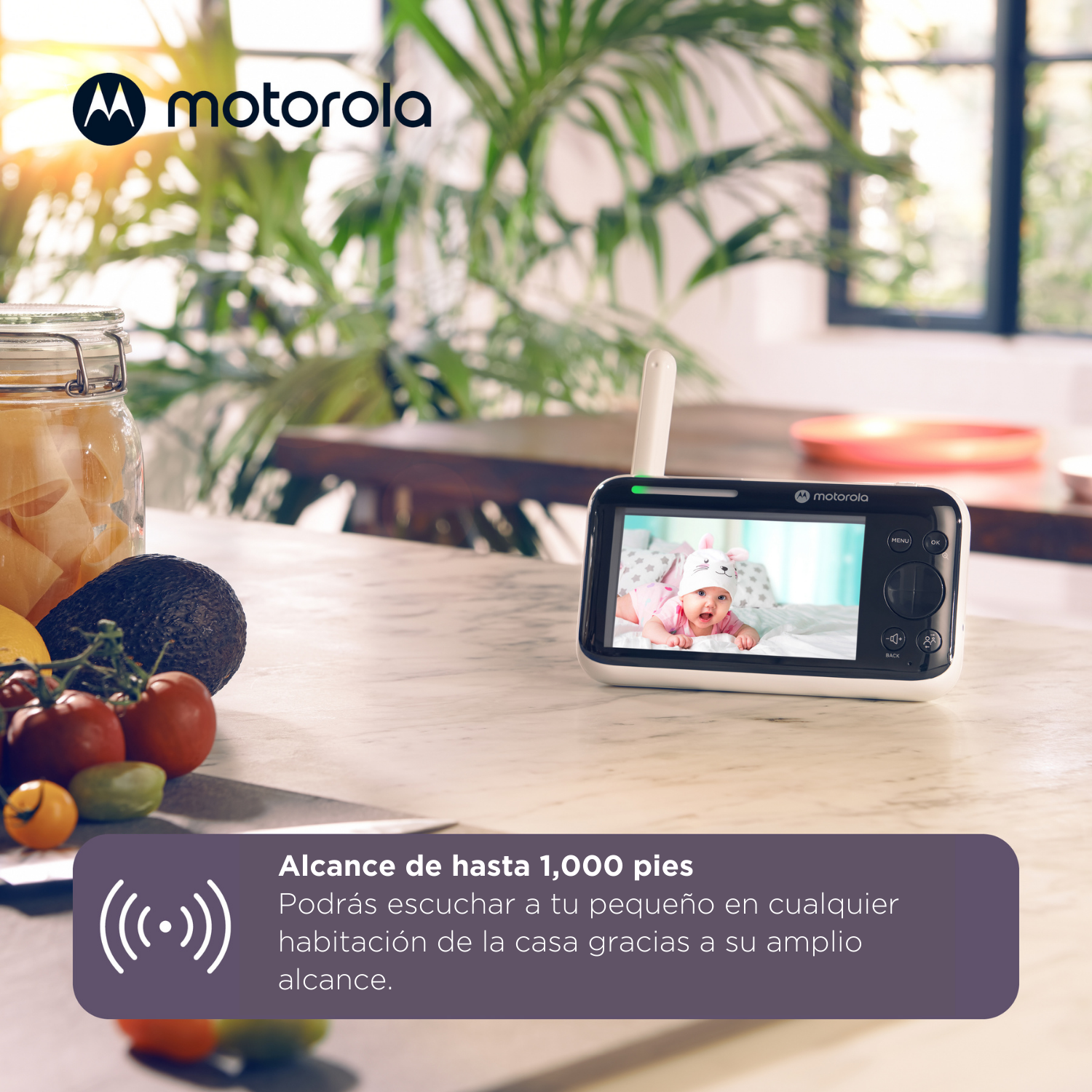 Ein Motorola-Babyphone zeigt ein Baby auf seinem Bildschirm. Im Vordergrund sind Früchte und ein Glas. Der Hintergrund zeigt Pflanzen und einen Tisch.