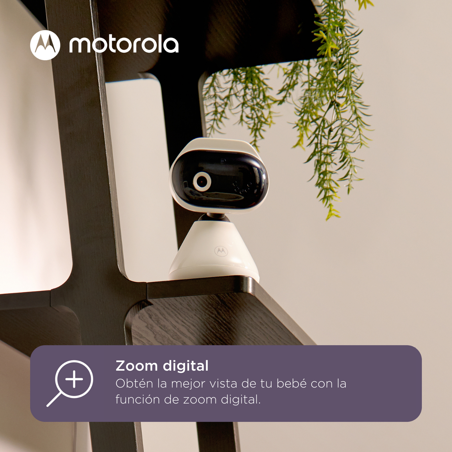 Ein weißer und schwarzer Babyphone mit Motorola-Logo. Eine Pflanze hängt von oben. Text-Overlay: 'Zoom digital'.