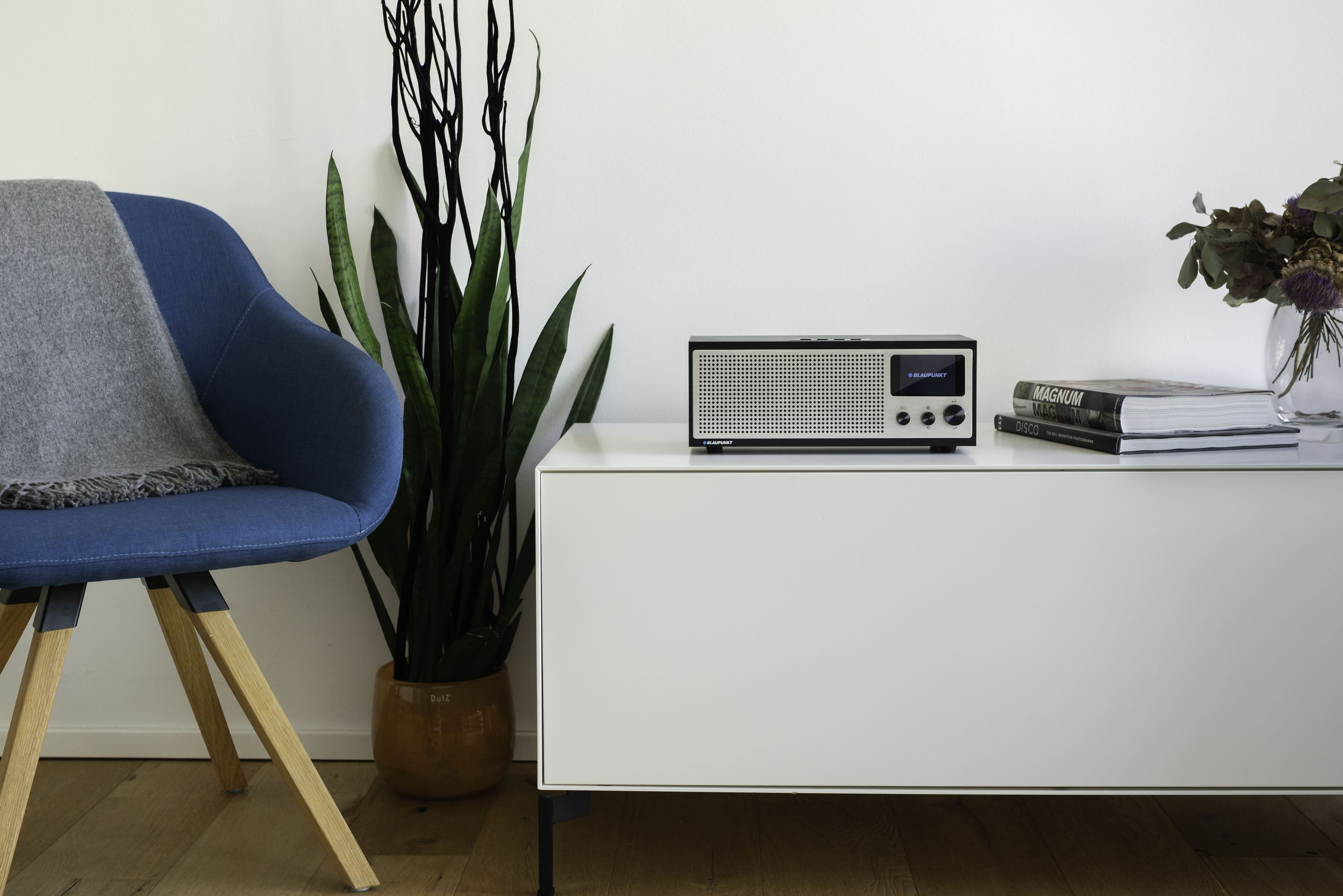 Ein modernes Wohnzimmer mit blauem Stuhl, weißem Schrank mit Radio und Topfpflanze.