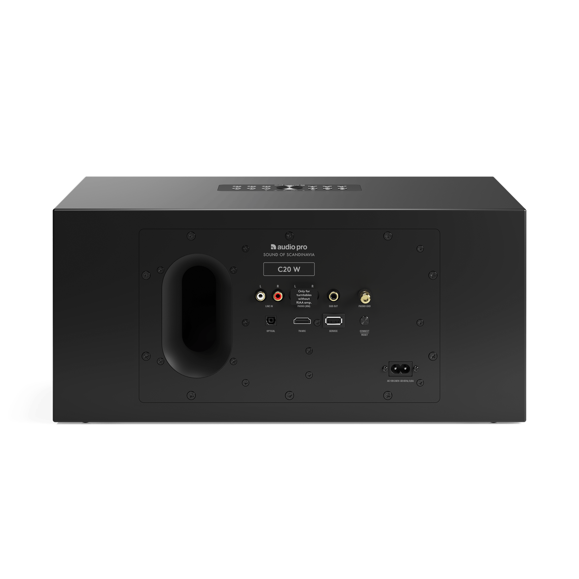 Schwarzer Audio Pro C20 W Lautsprecher. Es hat verschiedene Eingangsanschlüsse und einen Stromanschluss. Der Lautsprecher steht auf grünem Grund.