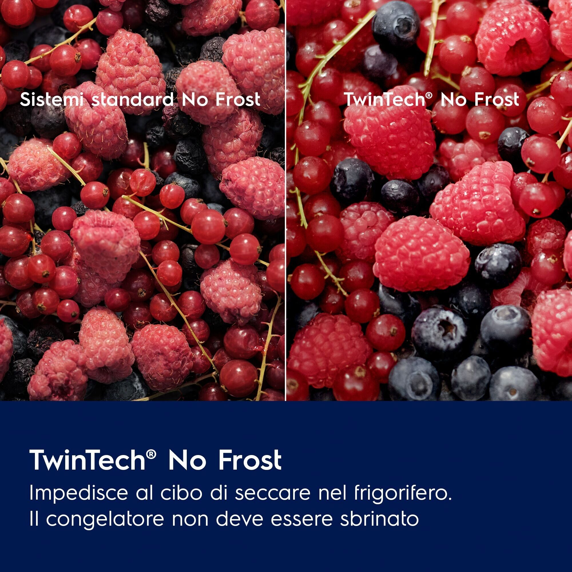 Obraz pokazuje maliny, jagody i porzeczki, podzielone na dwie sekcje. Tekst wskazuje system 'TwinTech® No Frost'.