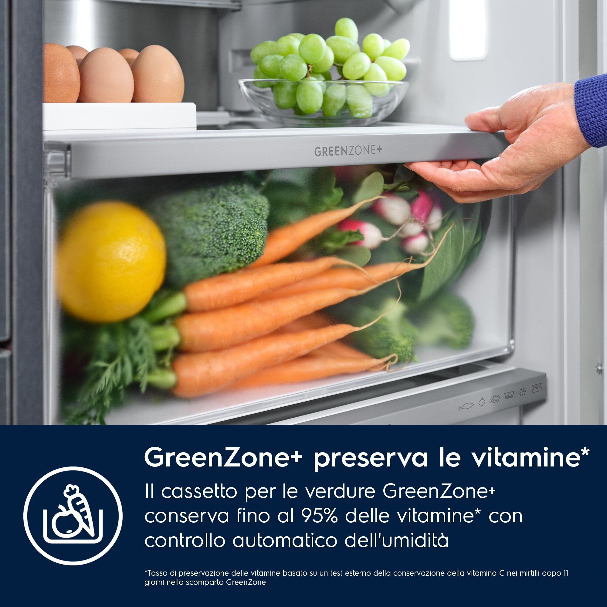 Un cassetto del frigorifero pieno di verdure come carote, broccoli e ravanelli. Sono visibili anche uova e uva.
