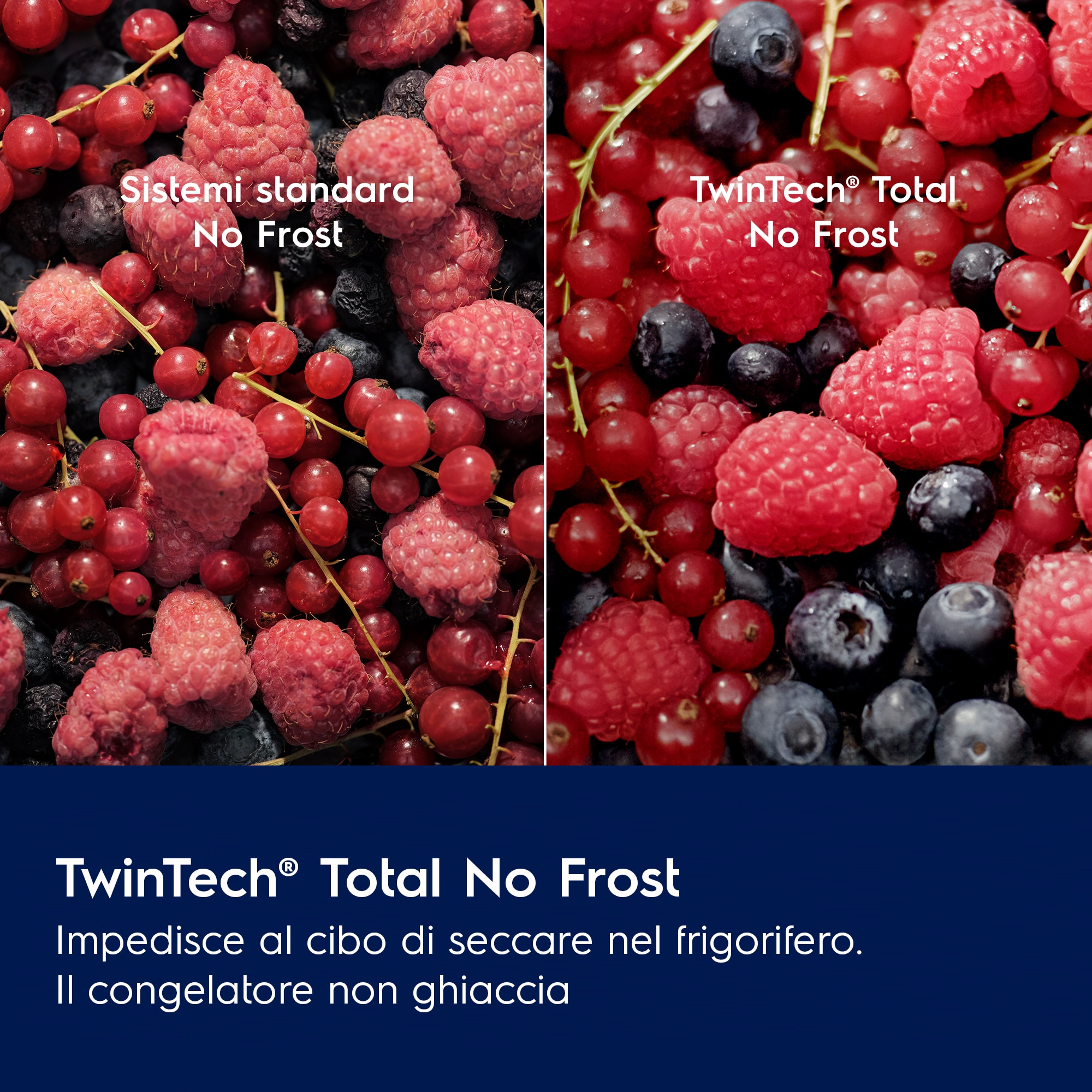 L'immagine mostra lamponi, mirtilli e ribes rossi. A sinistra c'è scritto 'Sistemi standard No Frost', a destra 'TwinTech Total No Frost'.