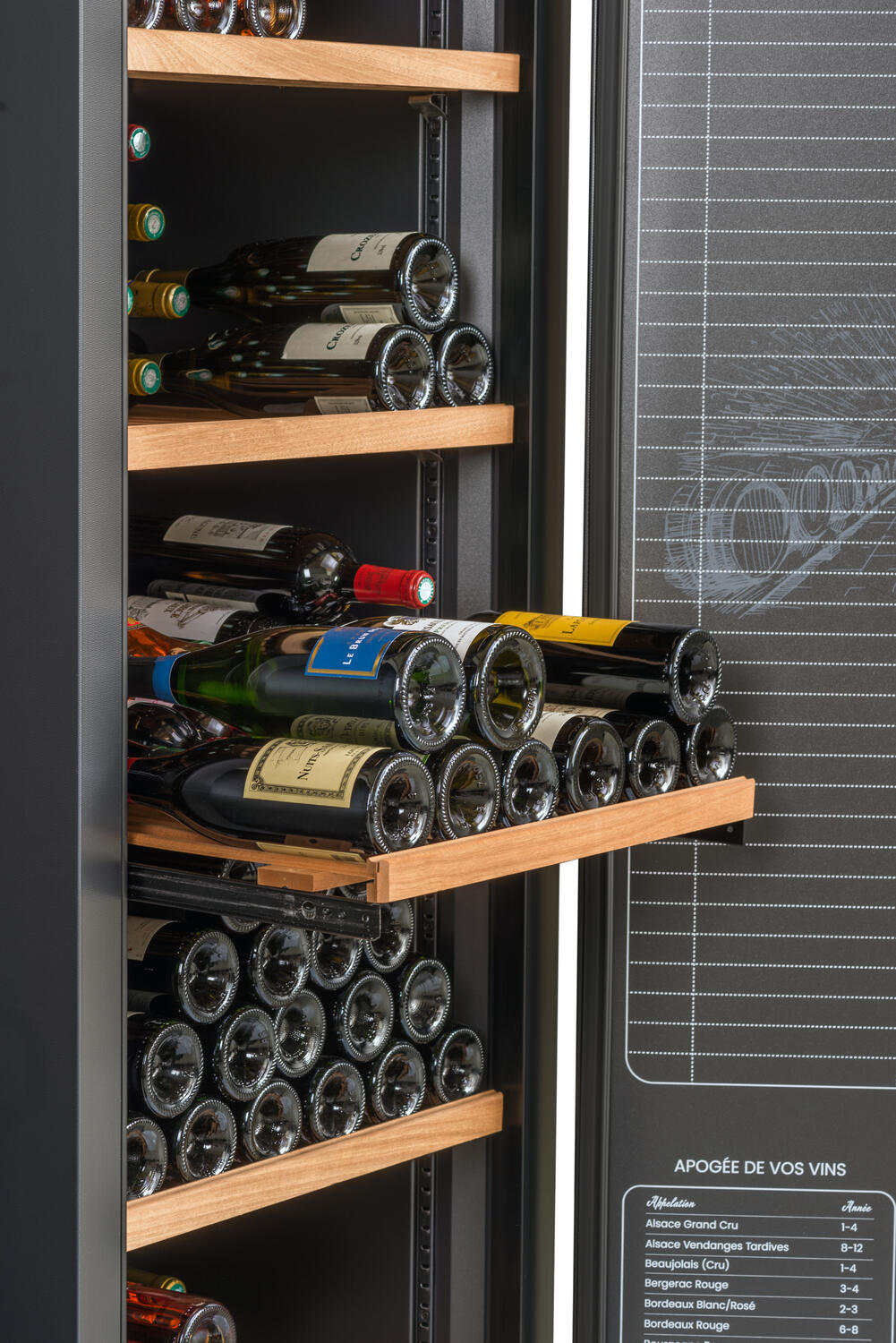 Bottiglie di vino conservate in una cantinetta. Varie bottiglie esposte su ripiani in legno. Un grafico sul lato.