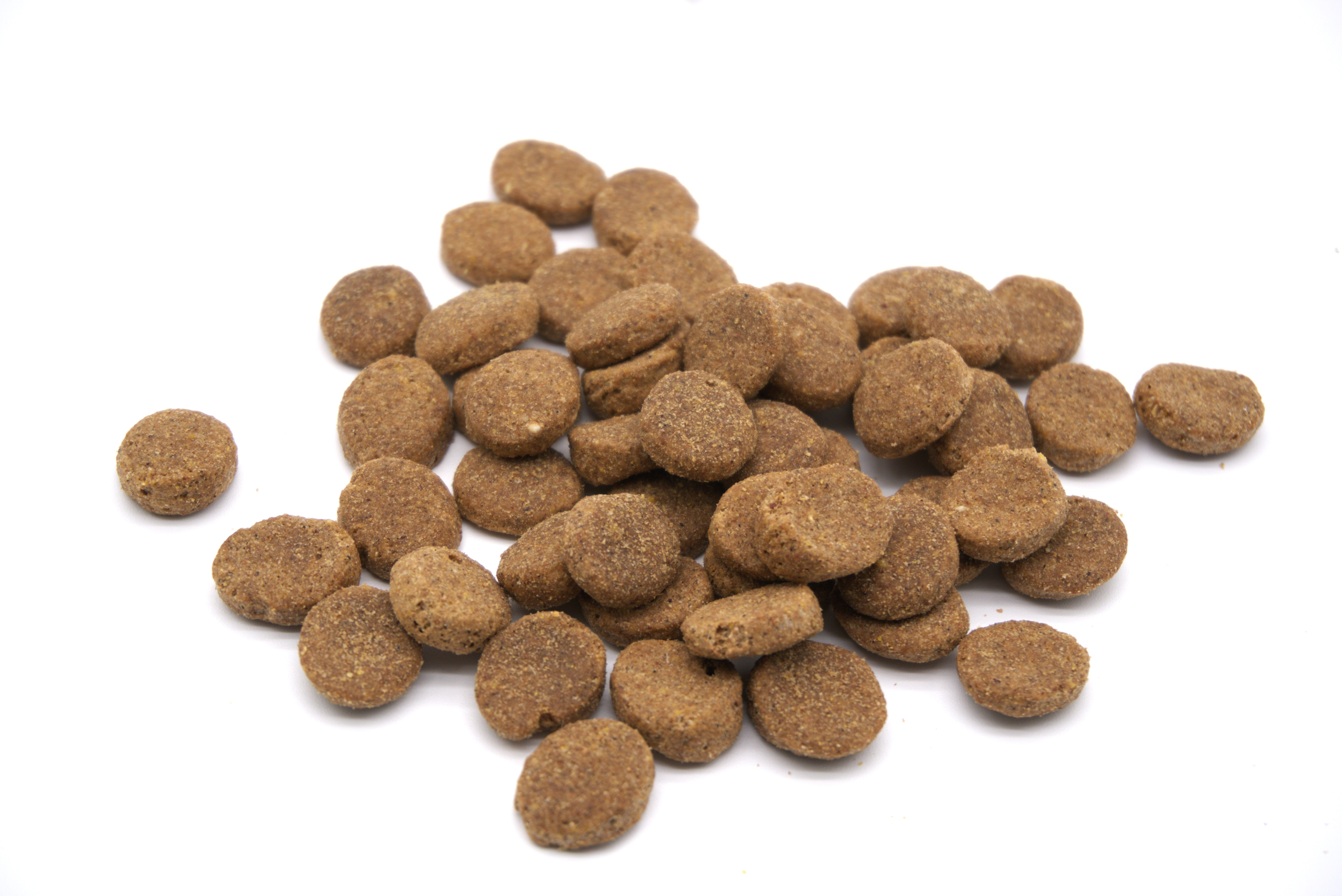 Un montón de croquetas marrones y circulares para mascotas sobre fondo blanco. Algunas croquetas están aisladas.
