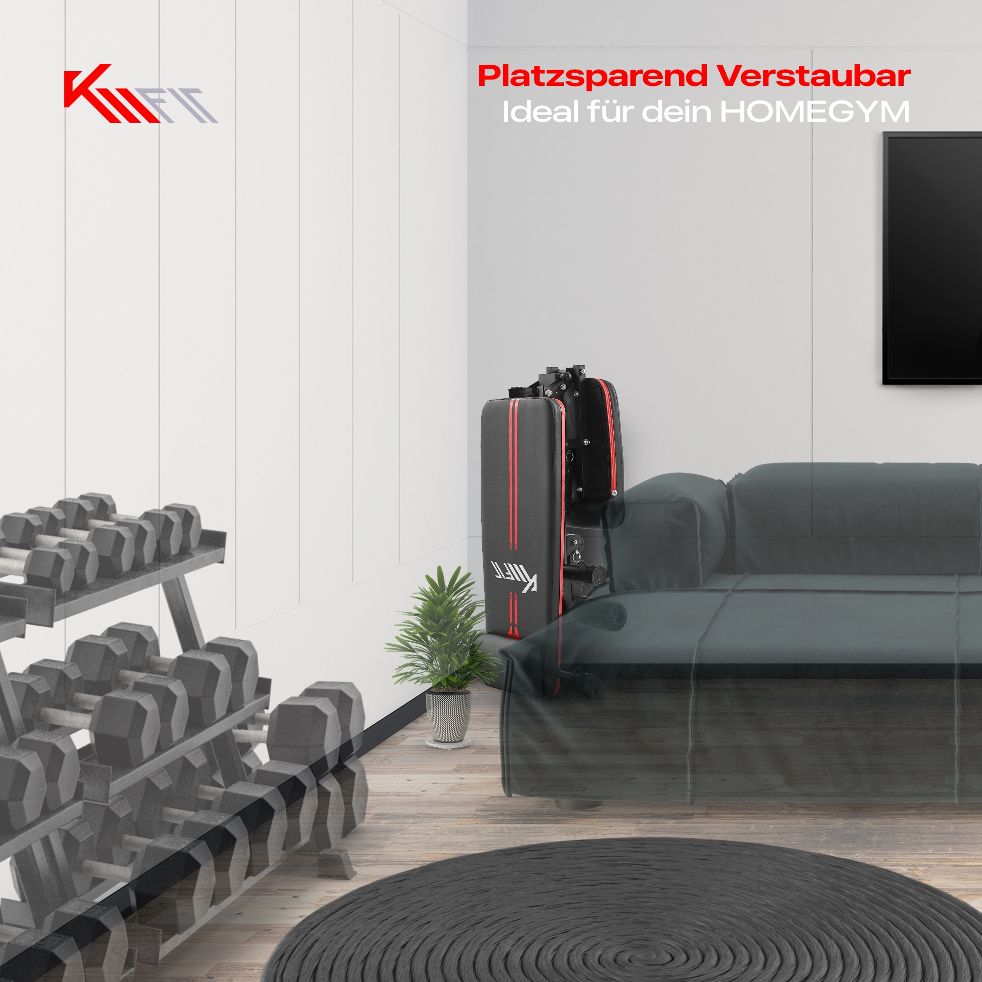 Ein Home-Gym-Setup mit Gewichten, einer Bank und einem Sofa. Der Raum hat einen Holzboden, einen Teppich und eine Pflanze.