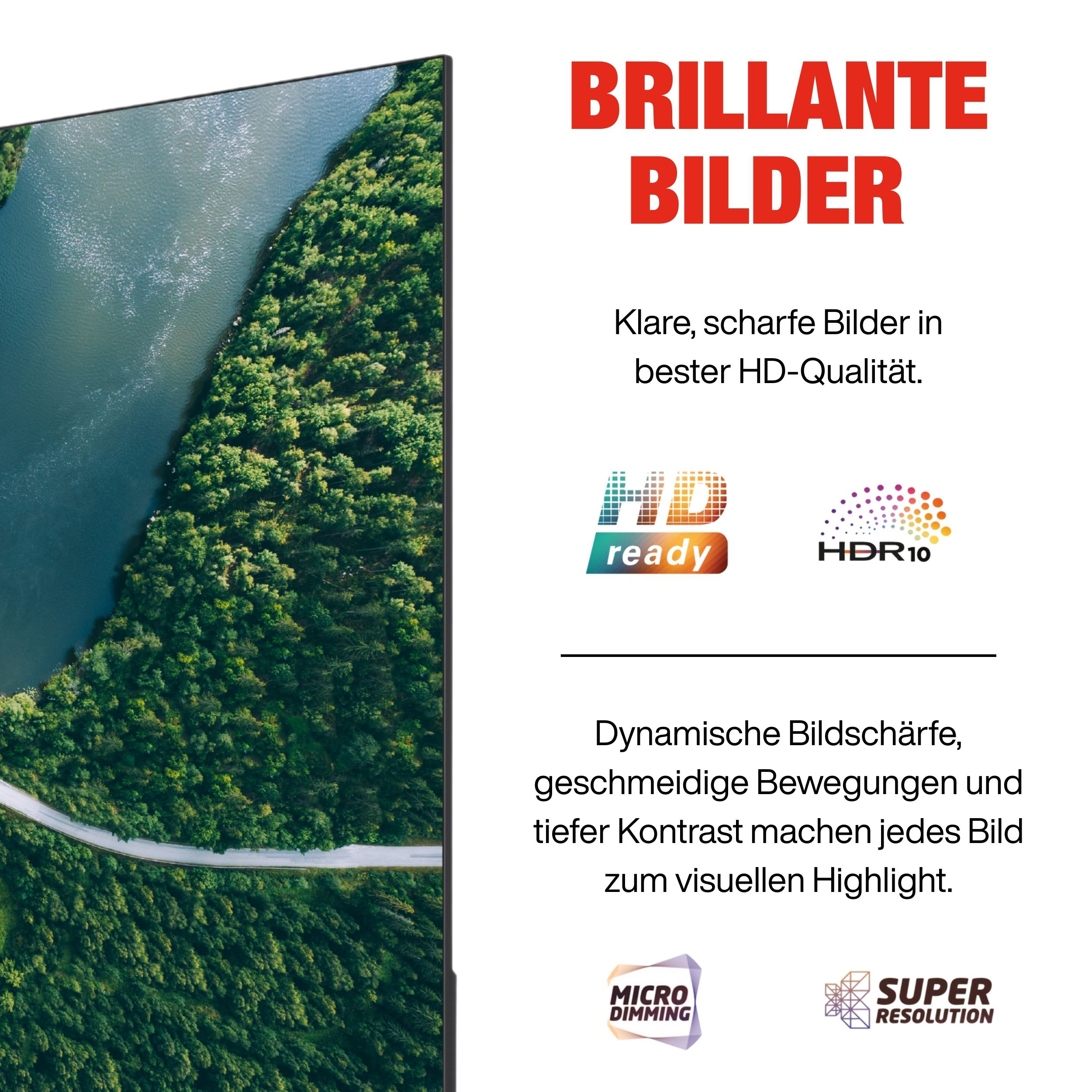 Ein Fernsehbildschirm zeigt einen Wald und einen See. Text auf Deutsch: 'Brillante Bilder'.