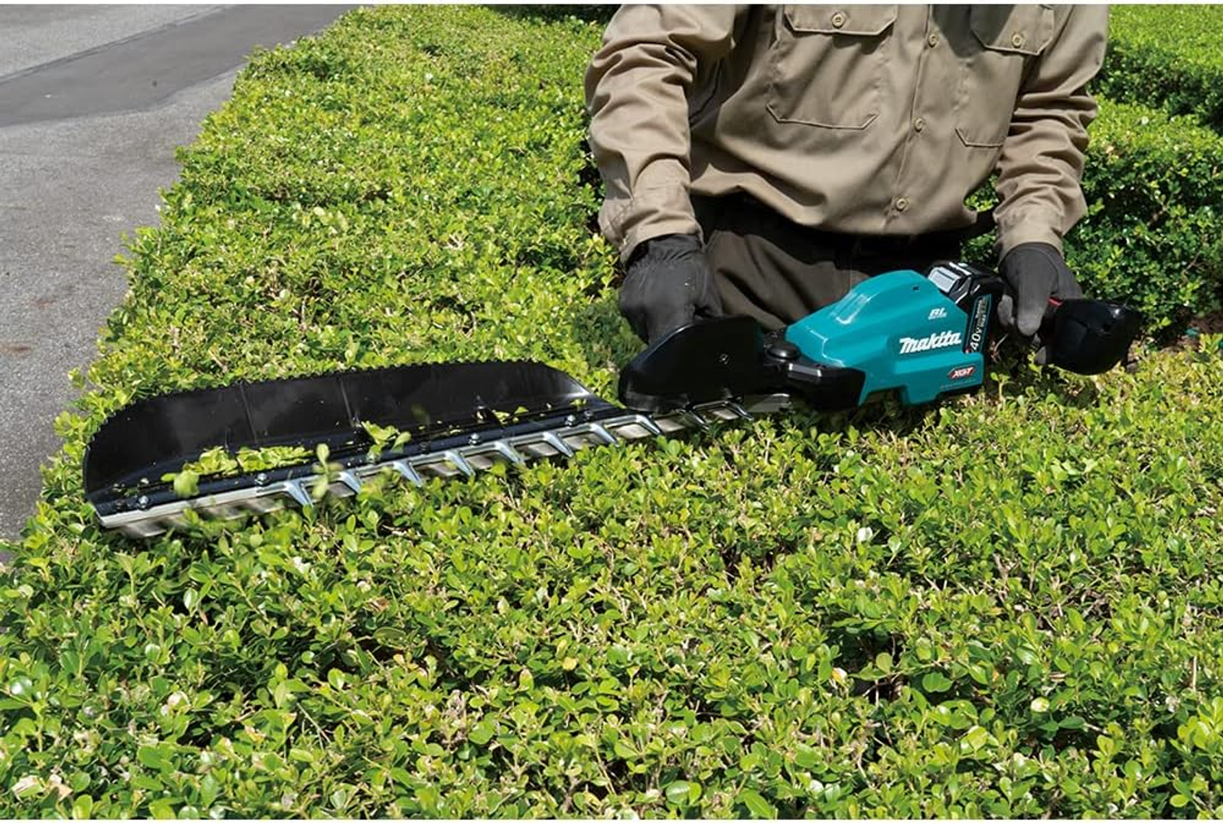 Eine Person benutzt eine türkisfarbene Makita-Heckenschere an einer grünen Hecke. Die Person trägt ein braunes Hemd und schwarze Handschuhe.