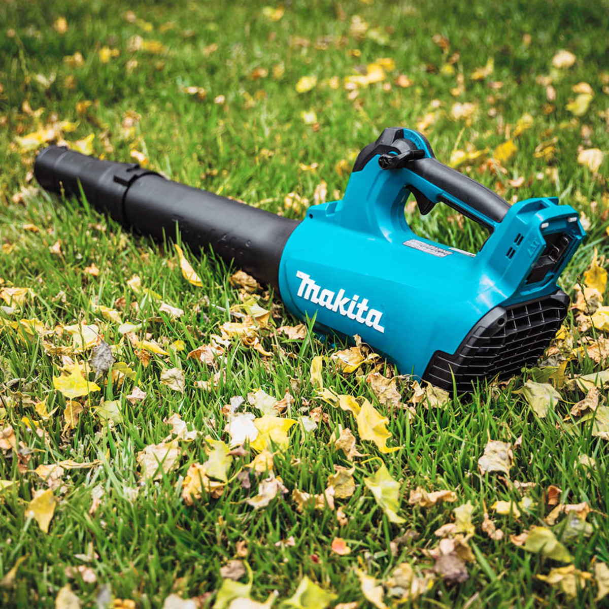 Ein türkisfarbener Makita-Laubbläser liegt auf grünem Gras, das mit gelben Blättern bedeckt ist, bereit für die Gartenarbeit.