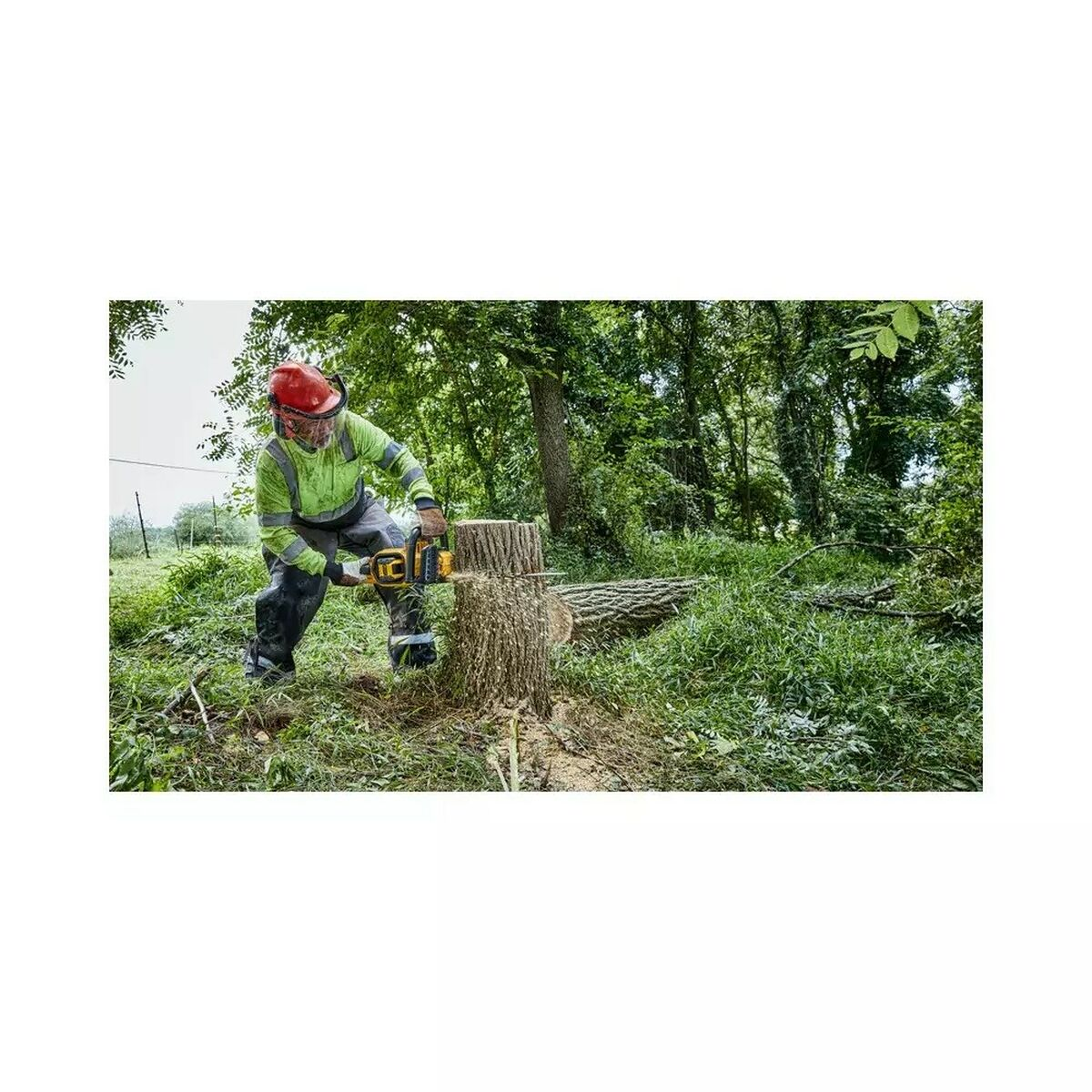Eine Person in Schutzkleidung schneidet einen Baumstumpf mit einer Kettensäge in einem Wald. Die Szene hat üppige grüne Vegetation.